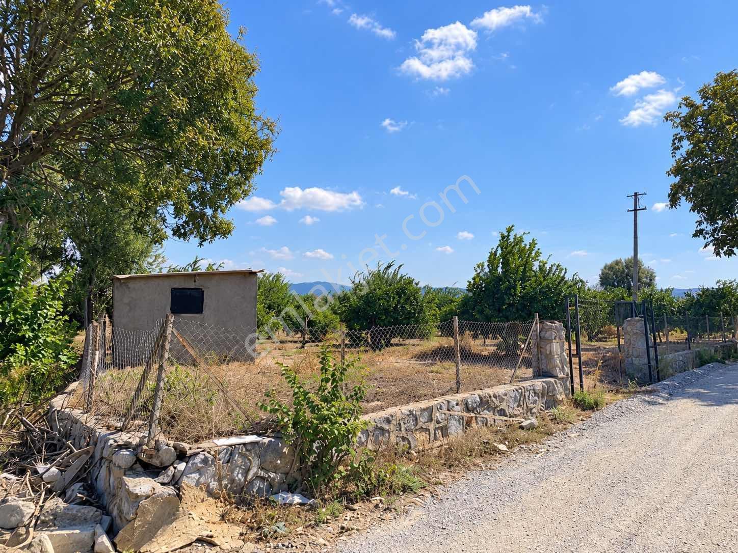 Seferihisar Ulamışta 4.915 M² Müstakil Tapulu Mandalina Bahçesi — fotoğraf 12