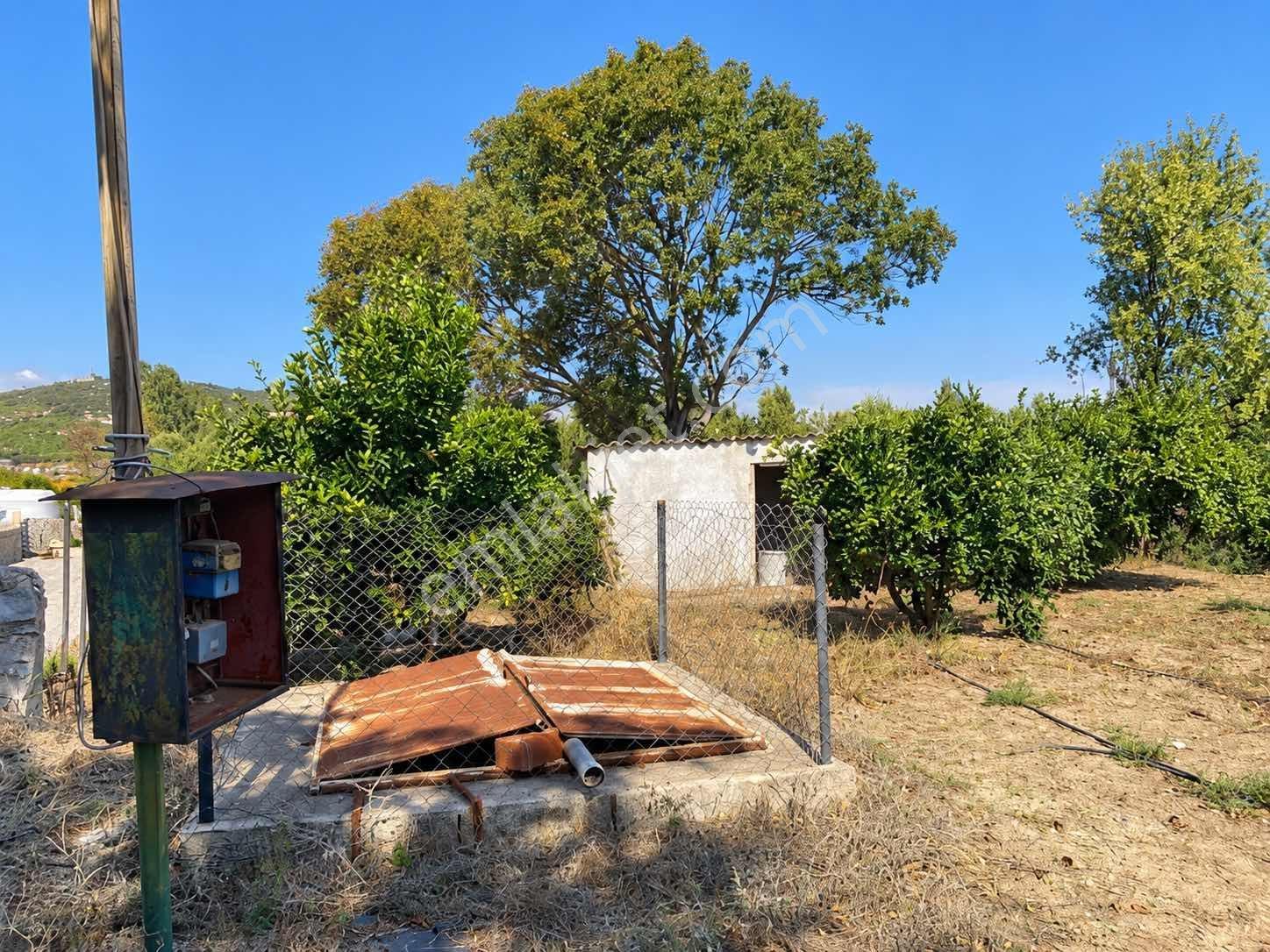 Seferihisar Ulamışta 4.915 M² Müstakil Tapulu Mandalina Bahçesi — fotoğraf 14