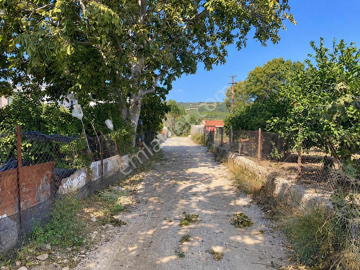 Seferihisar Ulamışta 4.915 M² Müstakil Tapulu Mandalina Bahçesi — fotoğraf 15
