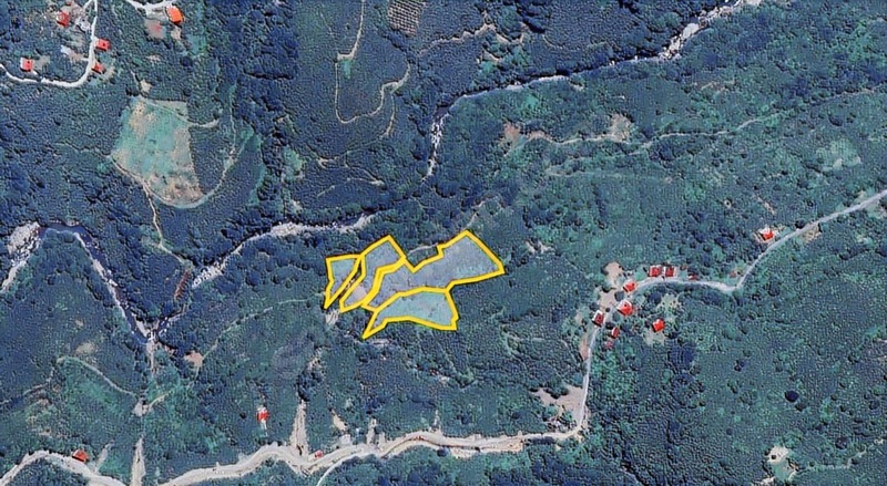 Kırlıda 14.738 M2 Fındık Bahçesi 4 Mūstakil Tapu — fotoğraf 14