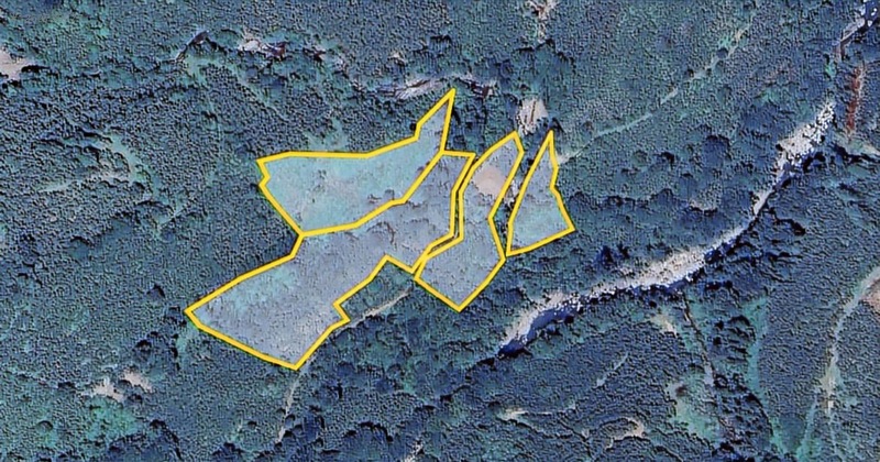 Kırlıda 14.738 M2 Fındık Bahçesi 4 Mūstakil Tapu — fotoğraf 17