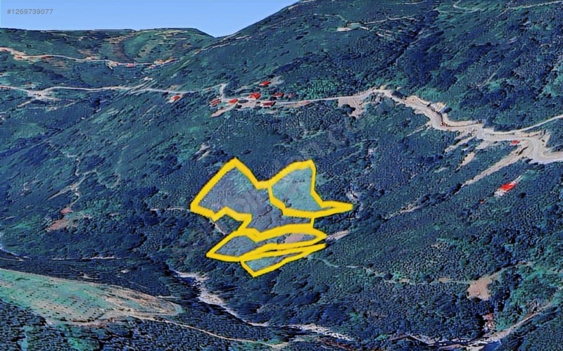 Kırlıda 14.738 M2 Fındık Bahçesi 4 Mūstakil Tapu — fotoğraf 18