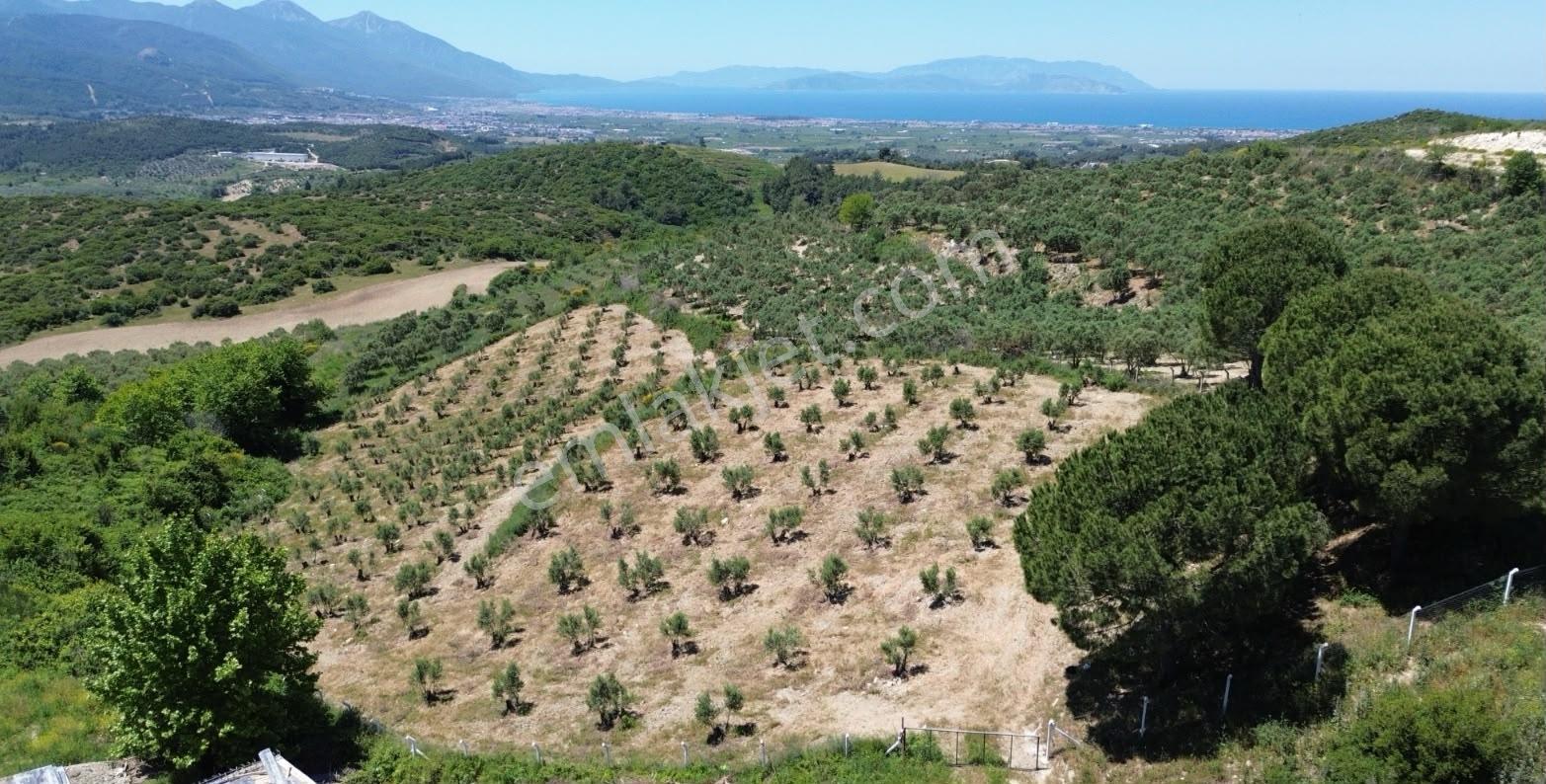 Kuşadası'nda, İmar Sınırında,deniz Manzaralı,satılık Arazi — fotoğraf 3