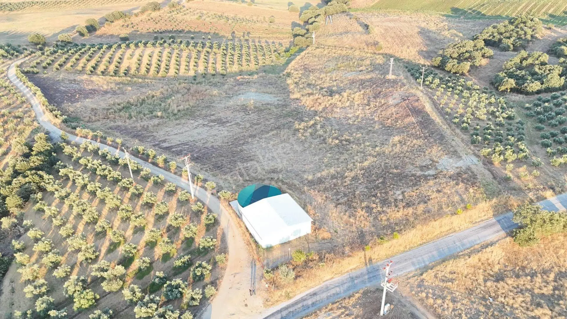Tc Emlaktan Satılık 38 Dönüm Ekime Hazır Arazi ! — fotoğraf 2