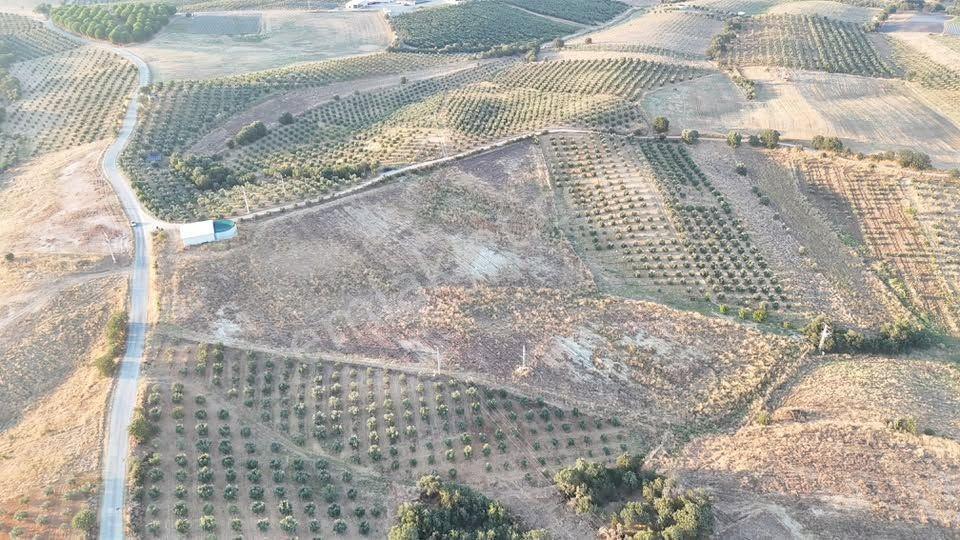 Tc Emlaktan Satılık 38 Dönüm Ekime Hazır Arazi ! — fotoğraf 24