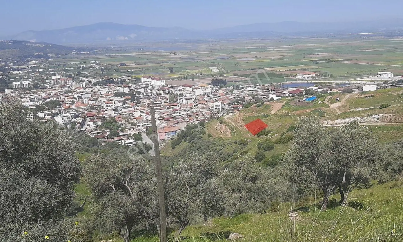 Aydın Koçarlı Gündoğan Mahallesinde Satılık Arsa — fotoğraf 2