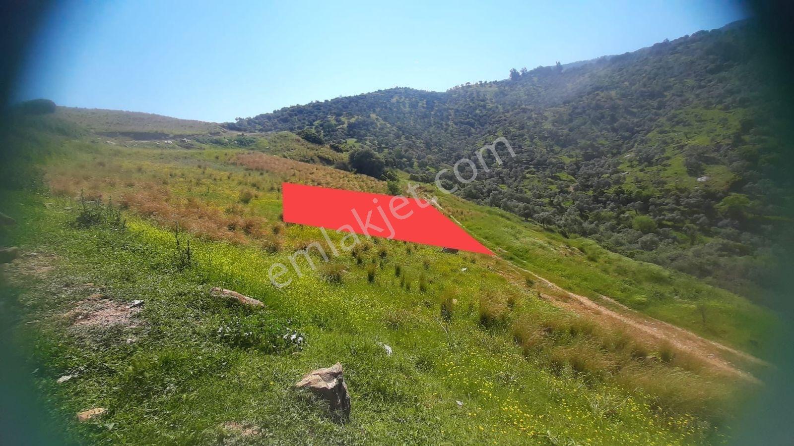 Aydın Koçarlı Gündoğan Mahallesinde Satılık Arsa — fotoğraf 7