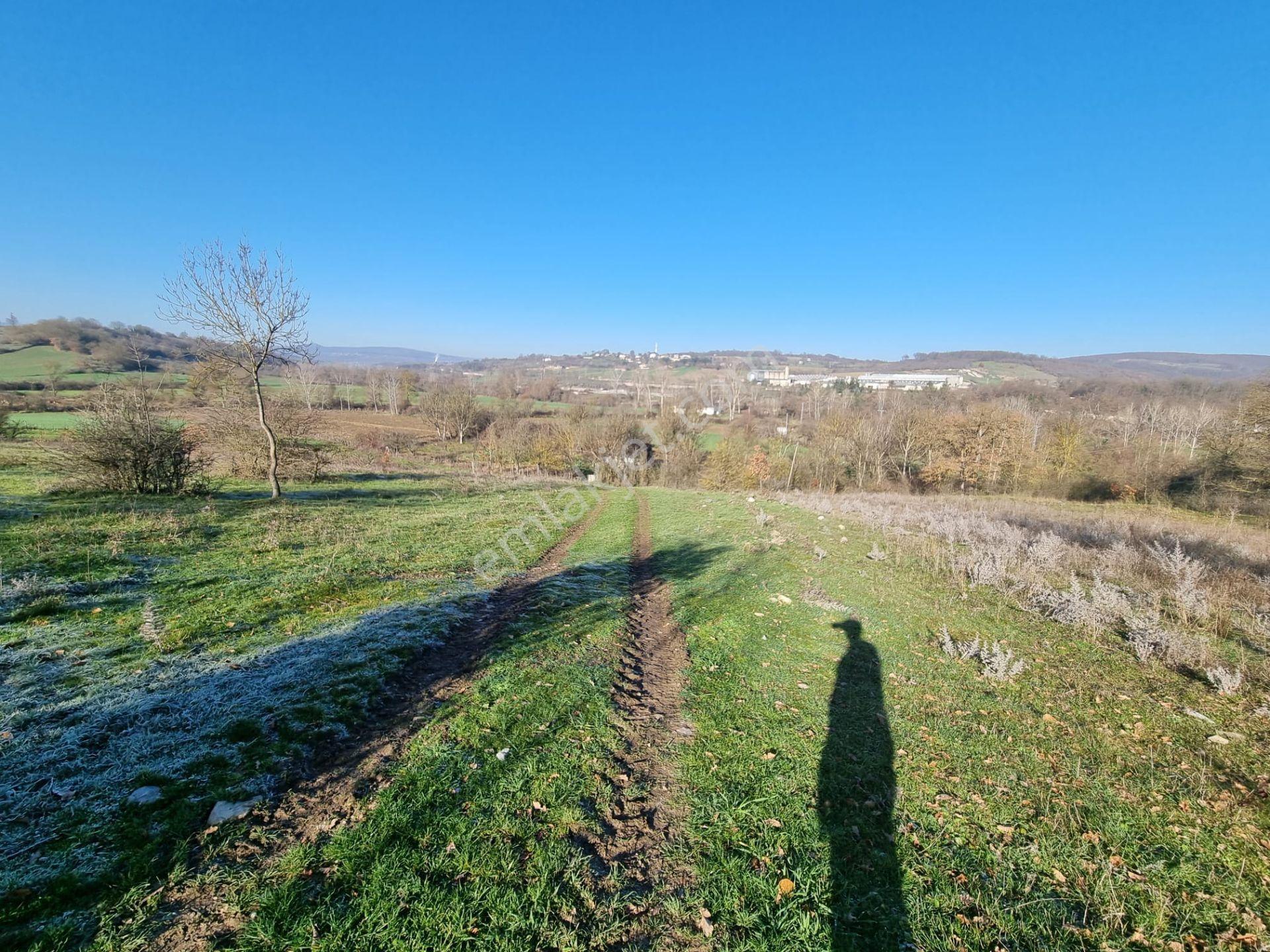 Kavak Tabaklı Mahallesinde 1800 M² Satılık Tarla — fotoğraf 10