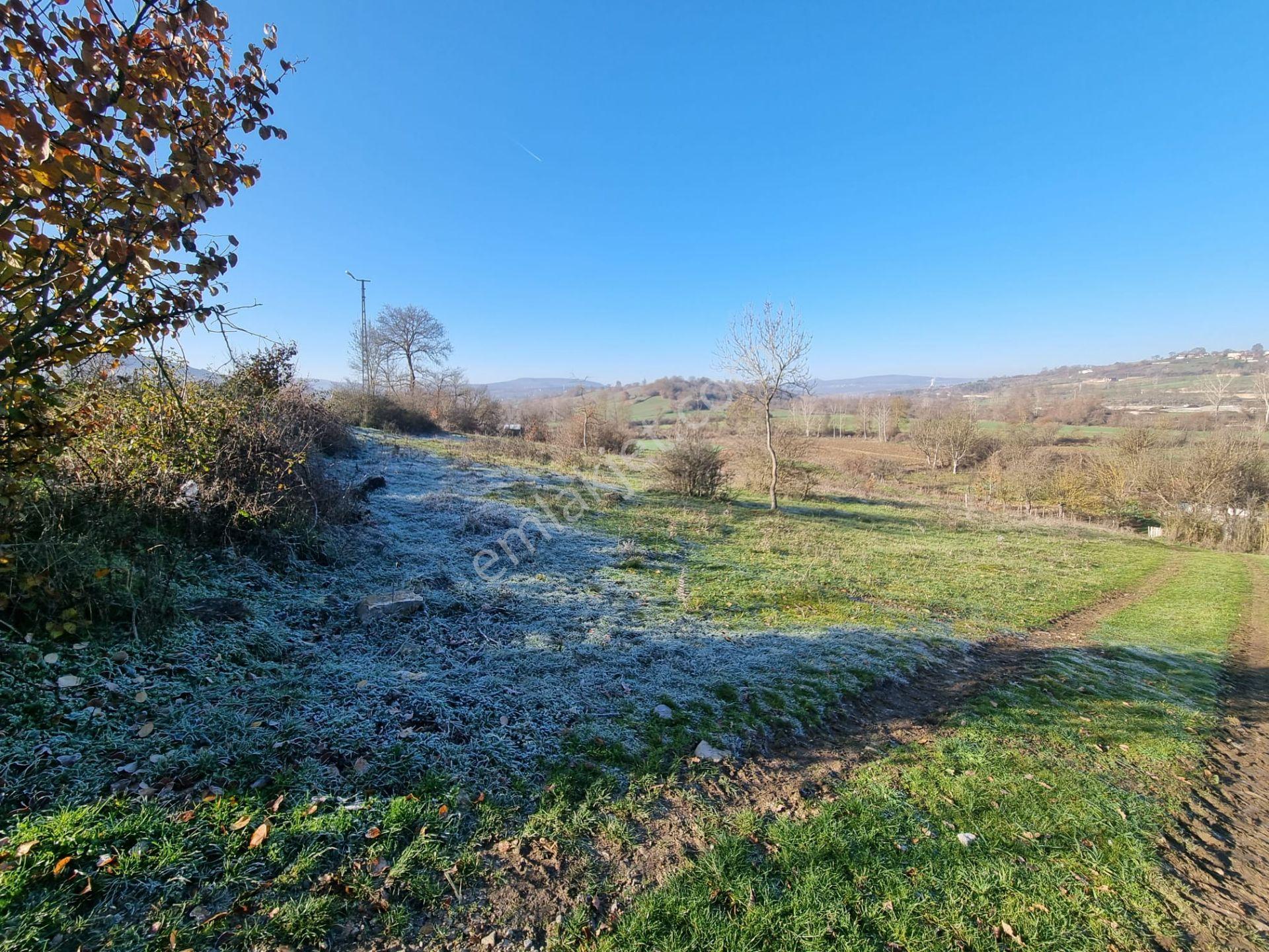 Kavak Tabaklı Mahallesinde 1800 M² Satılık Tarla — fotoğraf 11