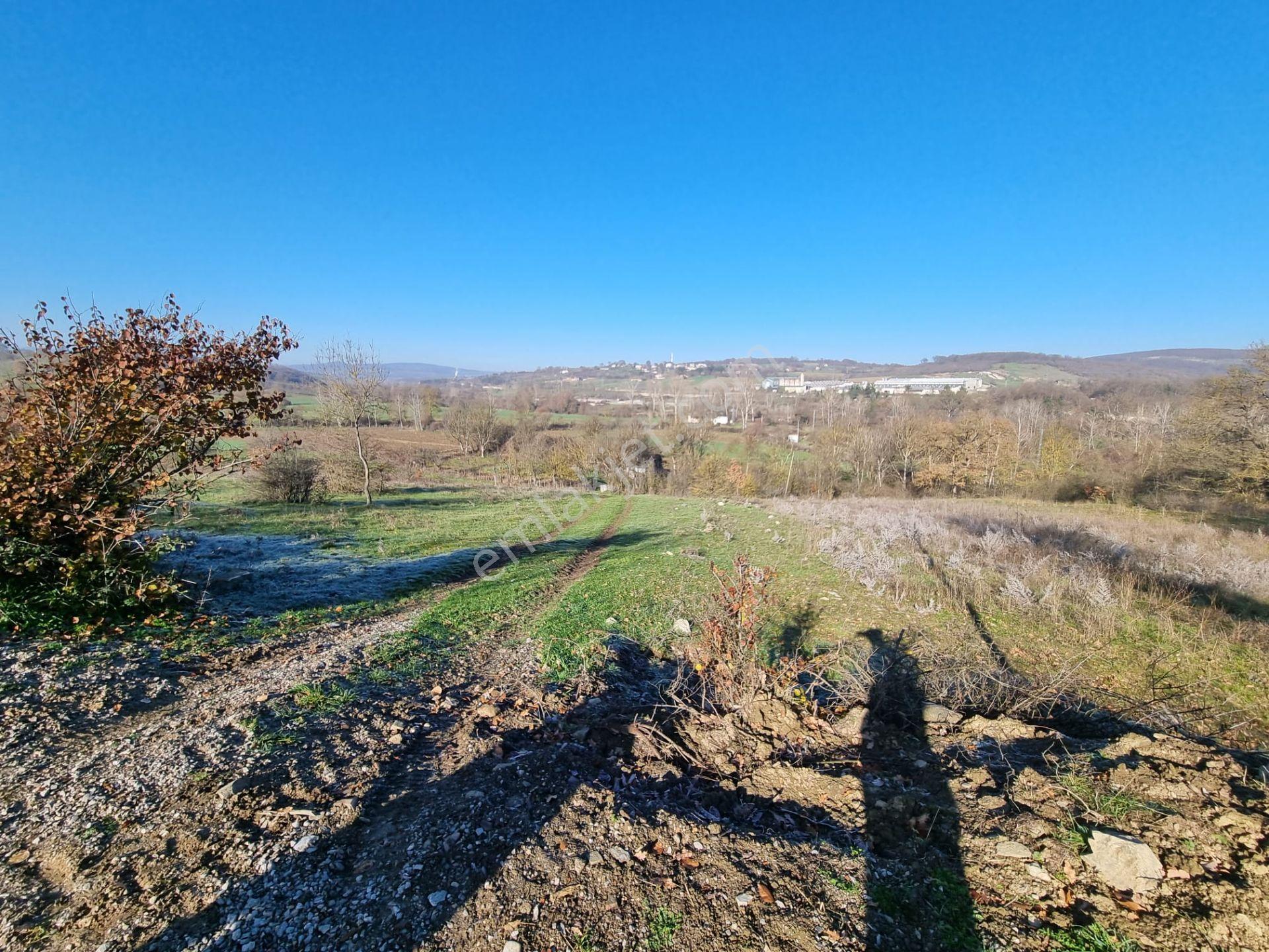 Kavak Tabaklı Mahallesinde 1800 M² Satılık Tarla — fotoğraf 13