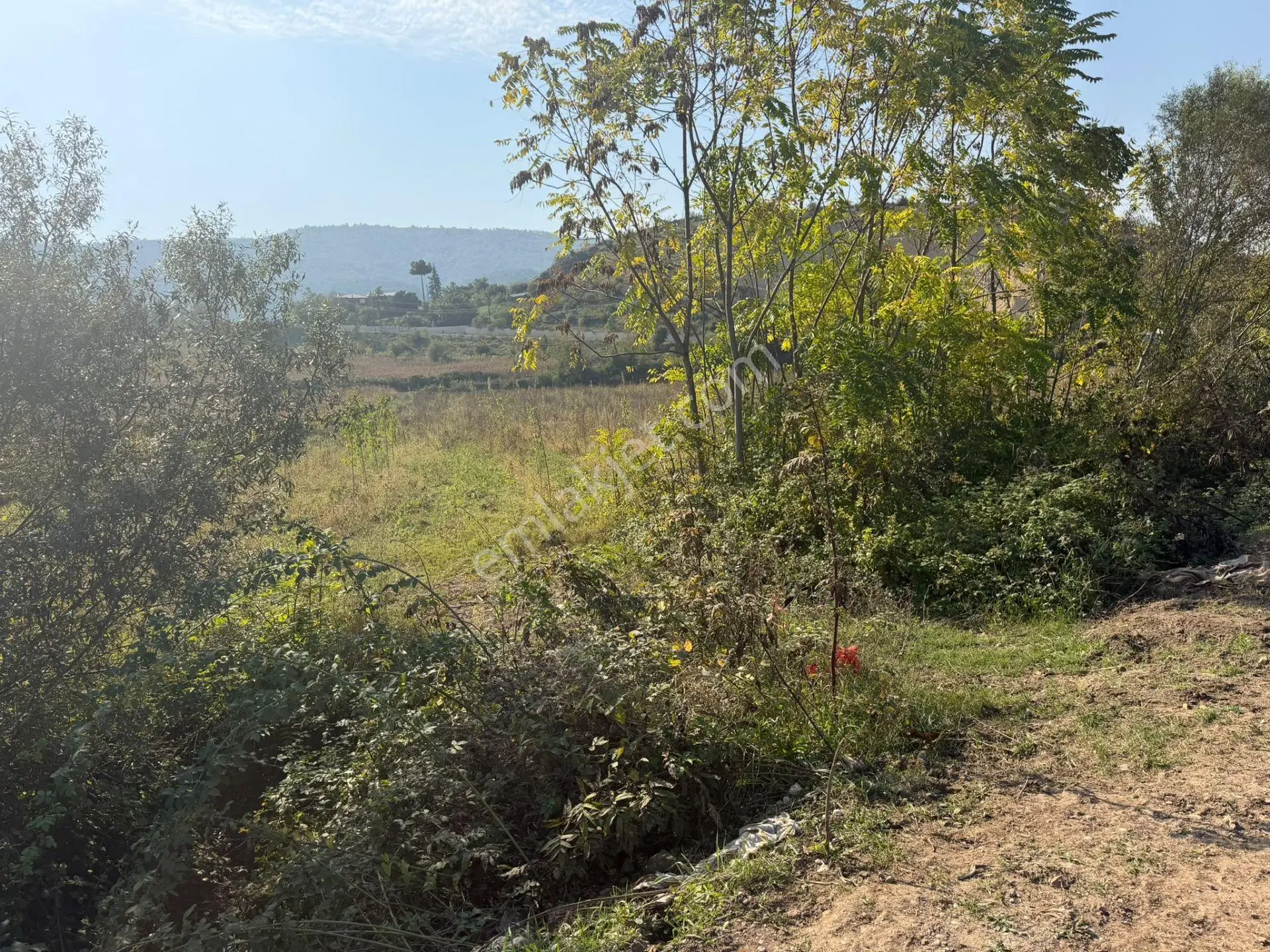 Niksar Prestij Grup Emlaktan Yolkonakta 9.300 M2 Satılık Tarla — fotoğraf 2