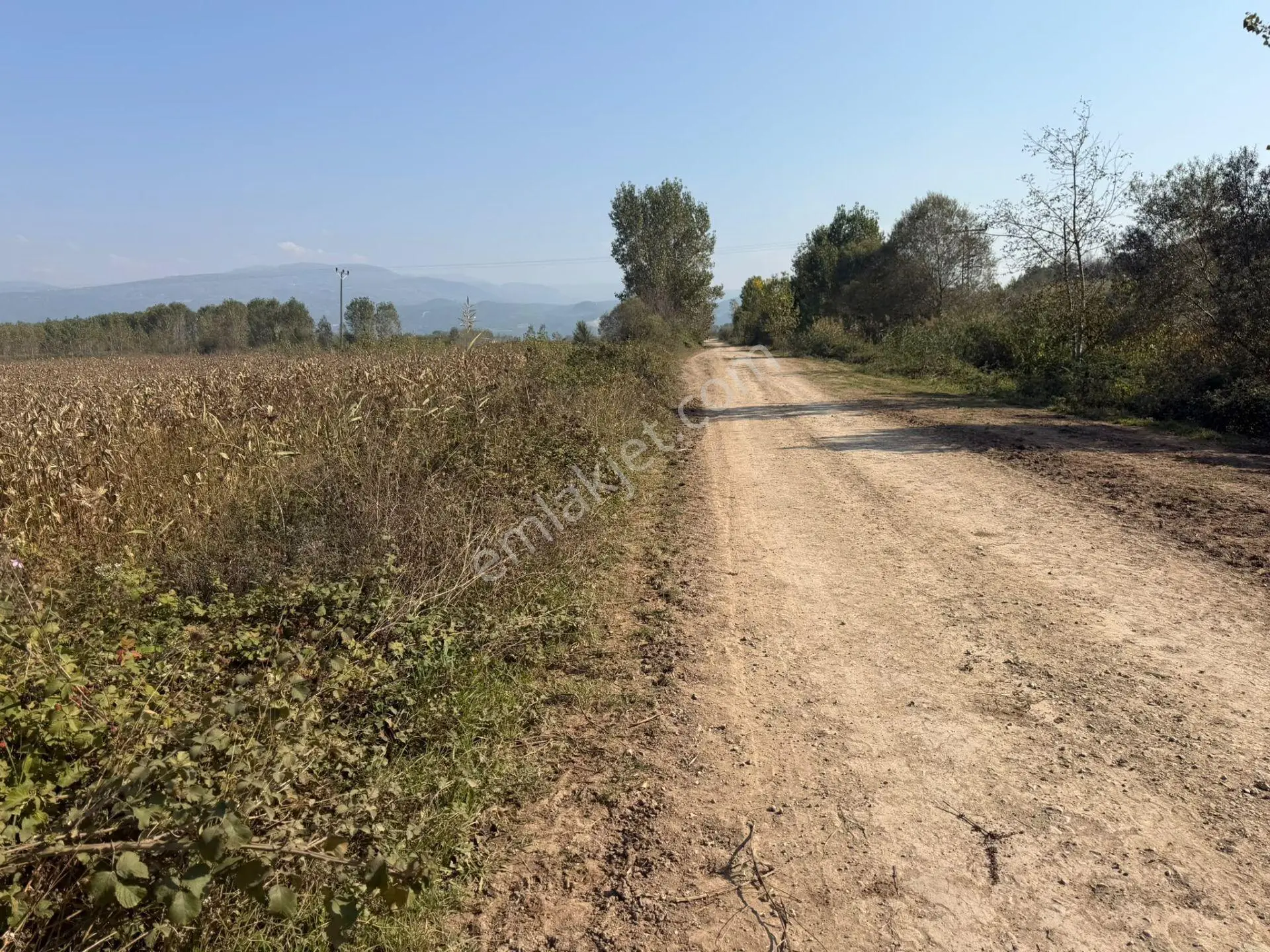 Niksar Prestij Grup Emlaktan Yolkonakta 9.300 M2 Satılık Tarla — fotoğraf 3