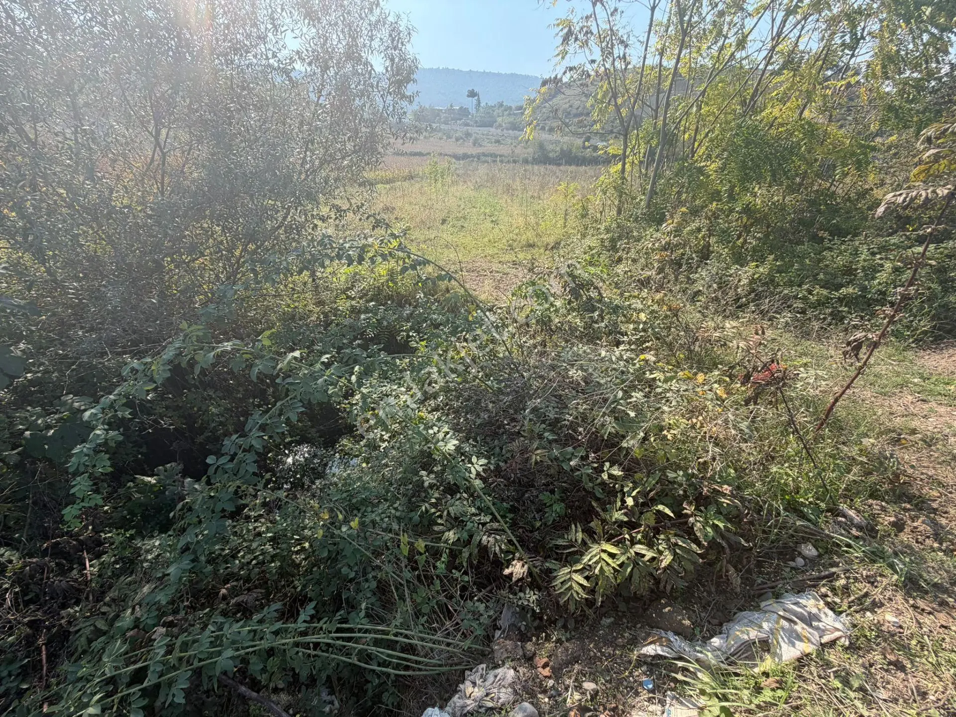 Niksar Prestij Grup Emlaktan Yolkonakta 9.300 M2 Satılık Tarla — fotoğraf 4