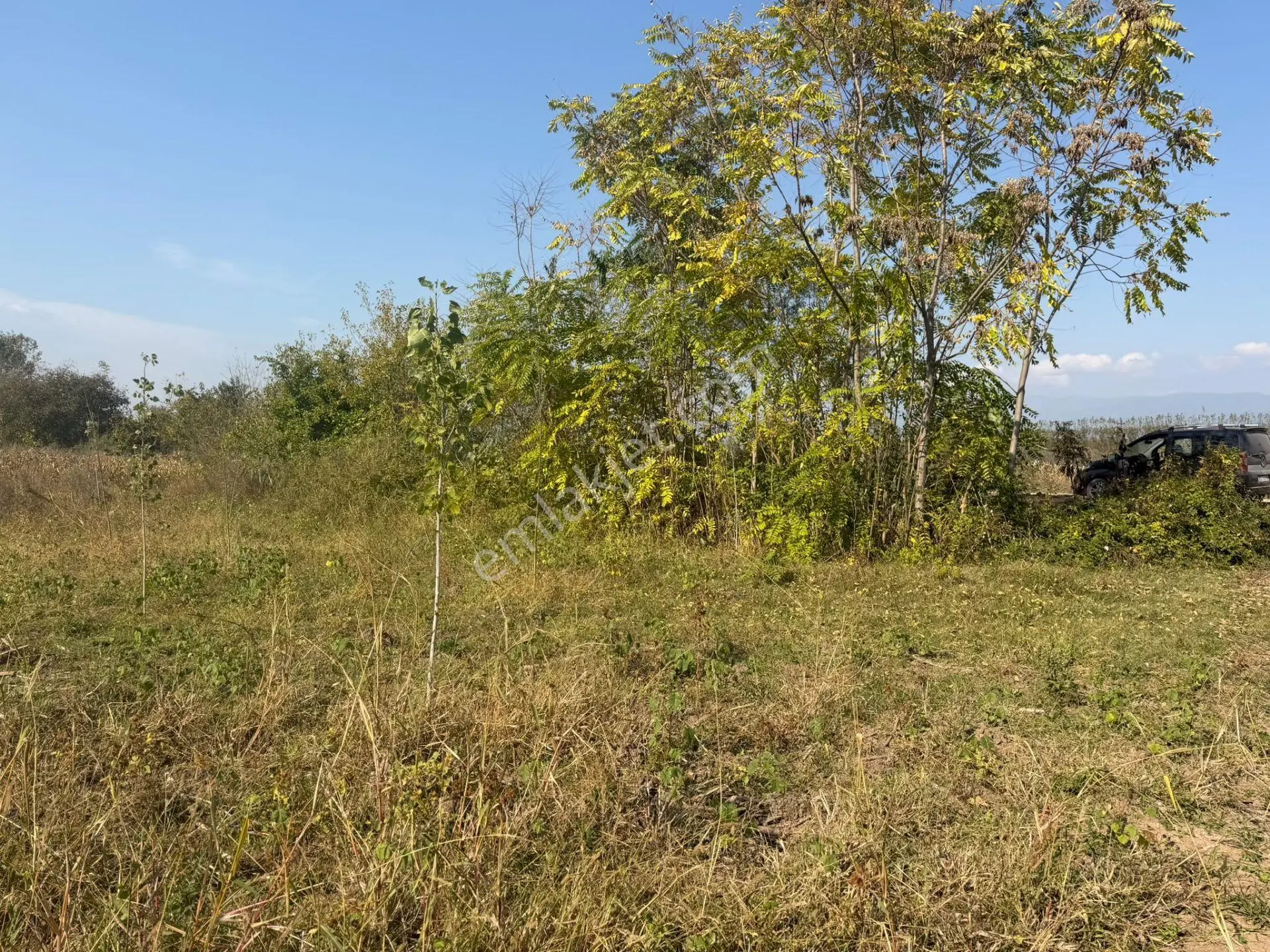 Niksar Prestij Grup Emlaktan Yolkonakta 9.300 M2 Satılık Tarla — fotoğraf 6