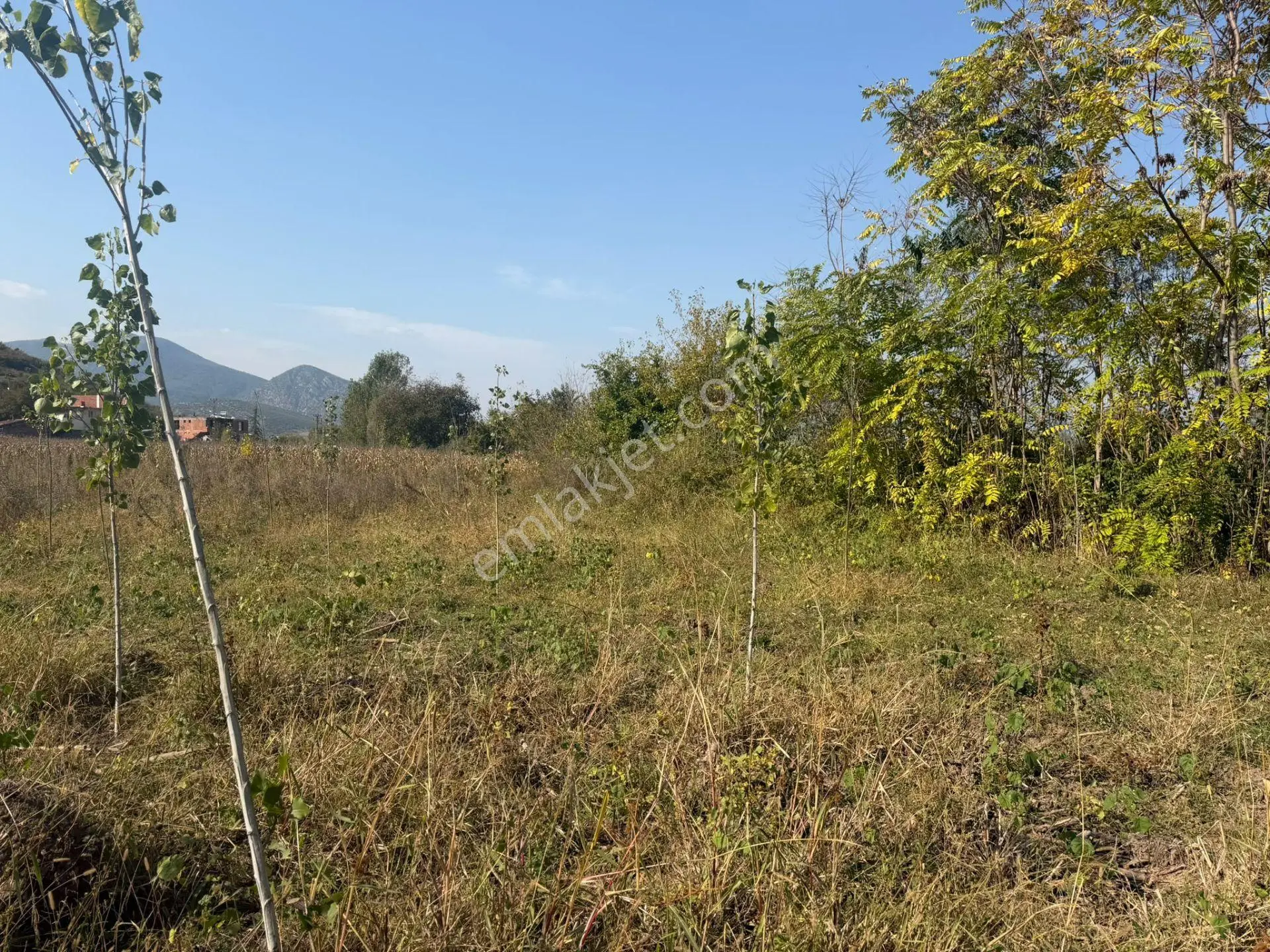 Niksar Prestij Grup Emlaktan Yolkonakta 9.300 M2 Satılık Tarla — fotoğraf 7