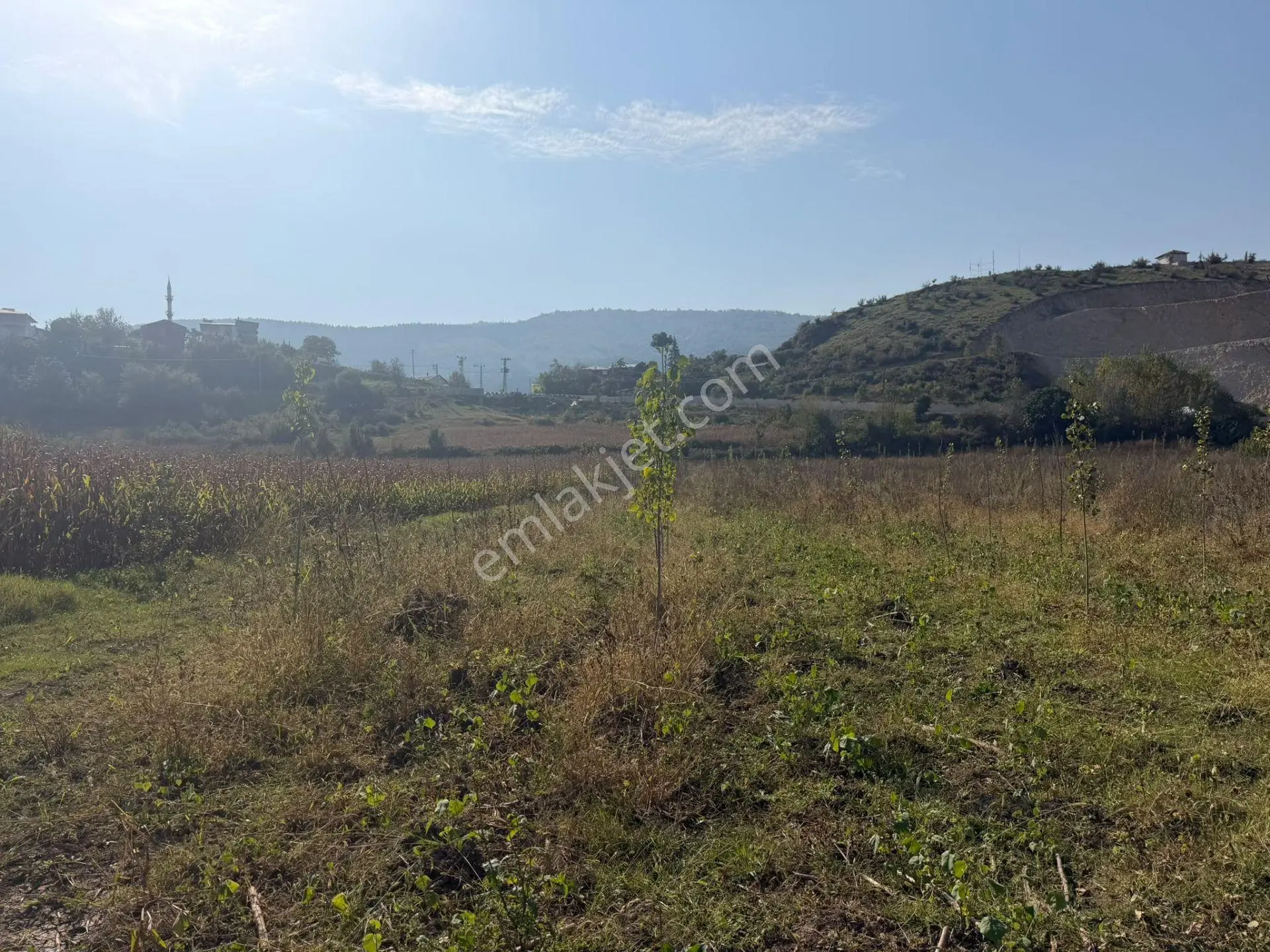 Niksar Prestij Grup Emlaktan Yolkonakta 9.300 M2 Satılık Tarla — fotoğraf 8