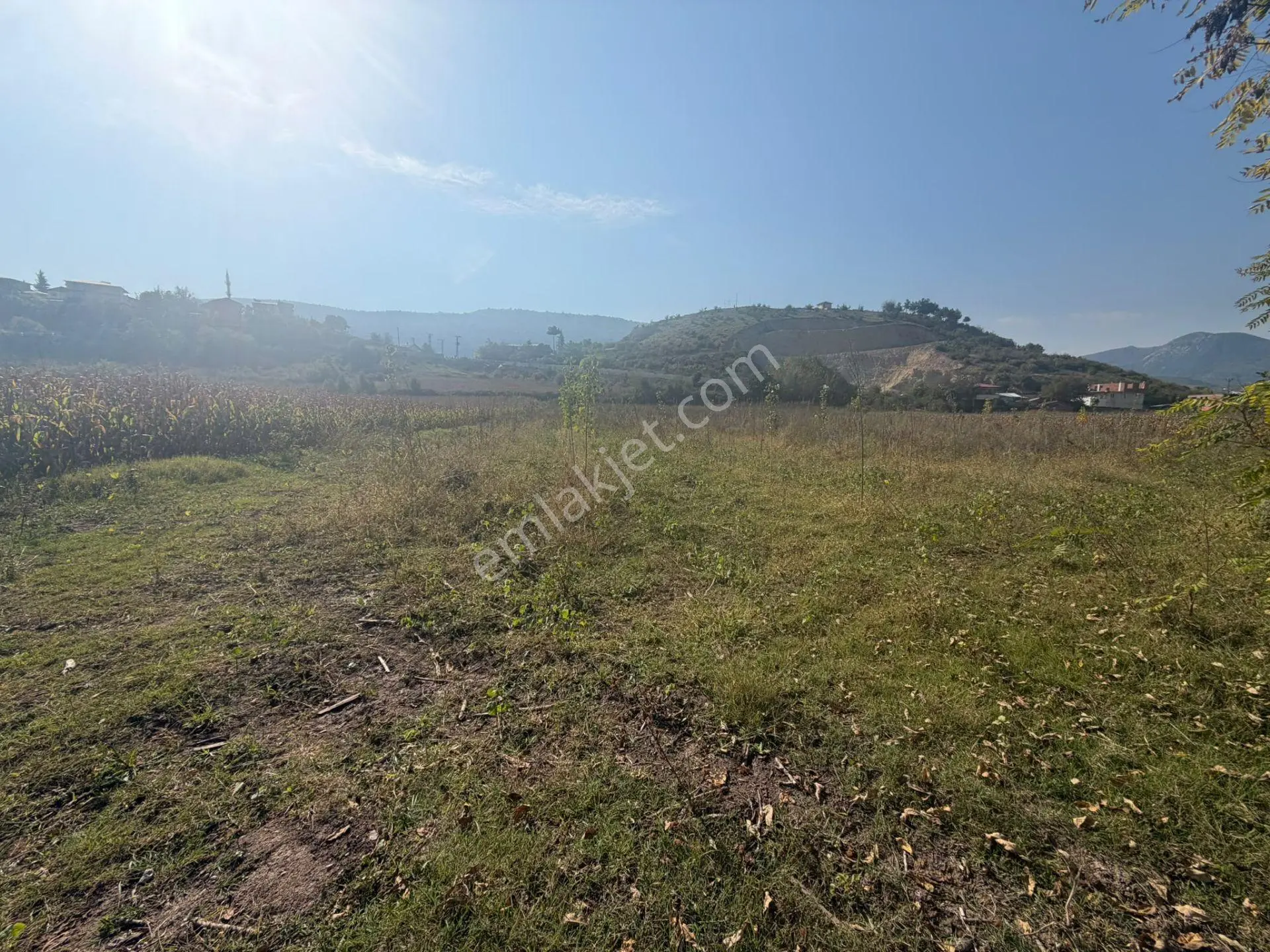 Niksar Prestij Grup Emlaktan Yolkonakta 9.300 M2 Satılık Tarla — fotoğraf 9