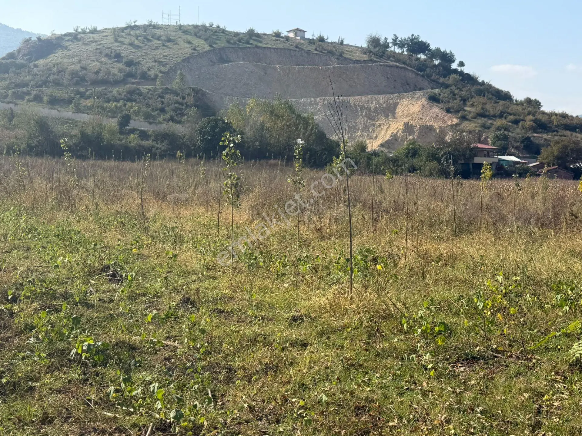 Niksar Prestij Grup Emlaktan Yolkonakta 9.300 M2 Satılık Tarla — fotoğraf 10