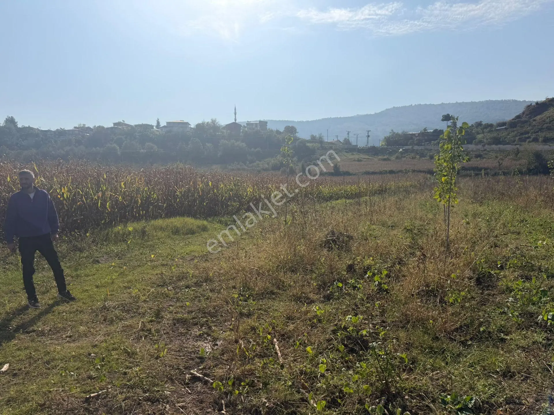 Niksar Prestij Grup Emlaktan Yolkonakta 9.300 M2 Satılık Tarla — fotoğraf 11