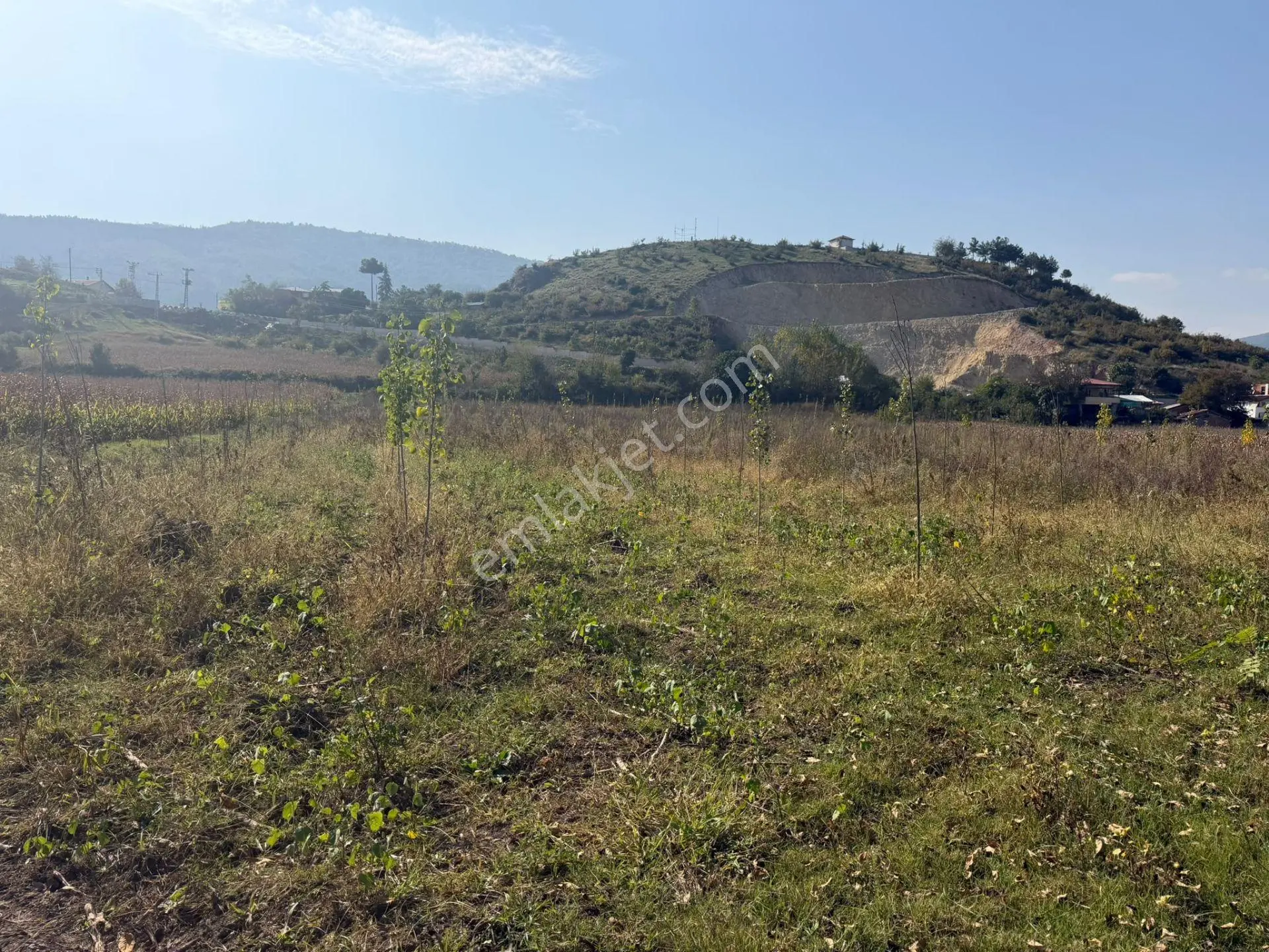 Niksar Prestij Grup Emlaktan Yolkonakta 9.300 M2 Satılık Tarla — fotoğraf 12