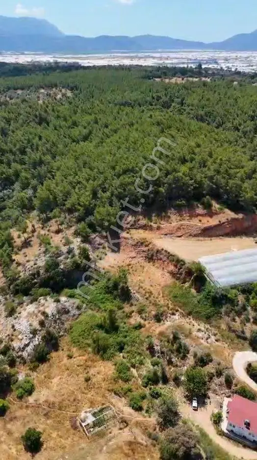 Msi Gayrimenkul'den Kaş Kınıktan Satılık Tarla — fotoğraf 2