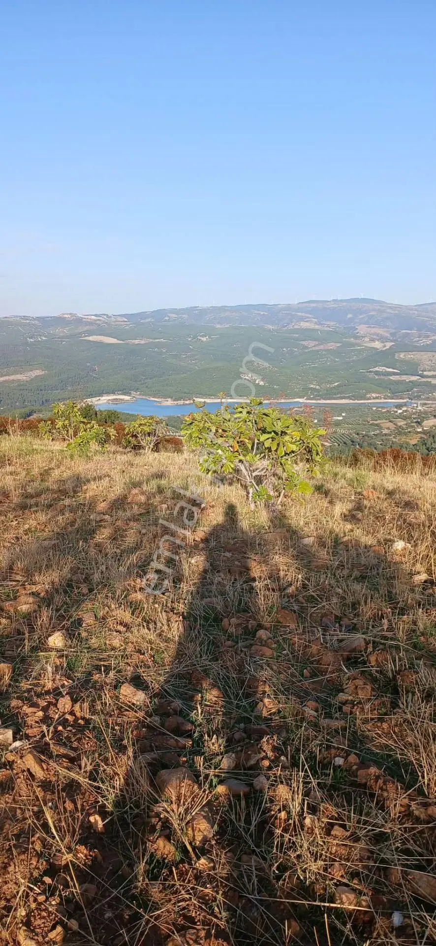 Karacasu Alemler'de 5600 M² Doğa Manzaralı Satılık Tarla — fotoğraf 2