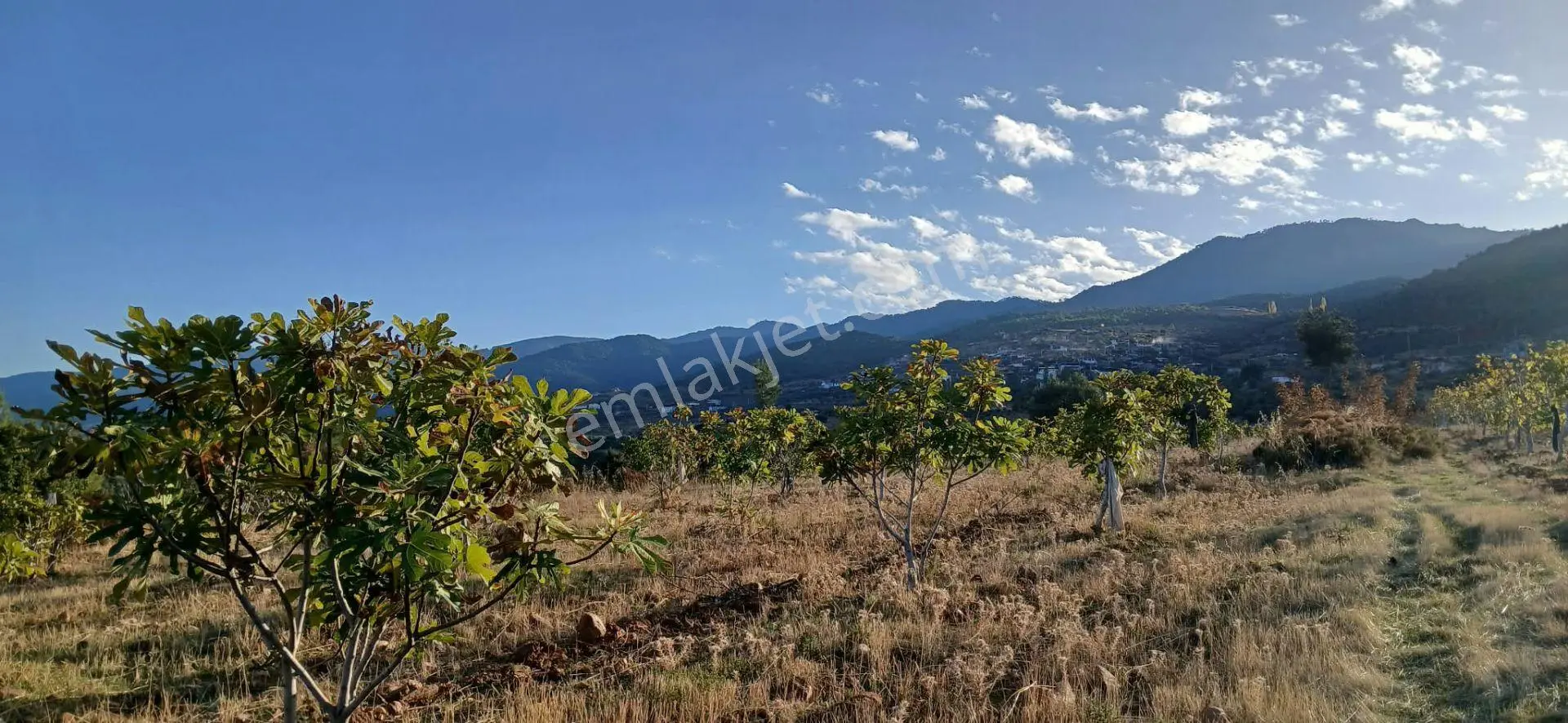 Karacasu Alemler'de 5600 M² Doğa Manzaralı Satılık Tarla — fotoğraf 4