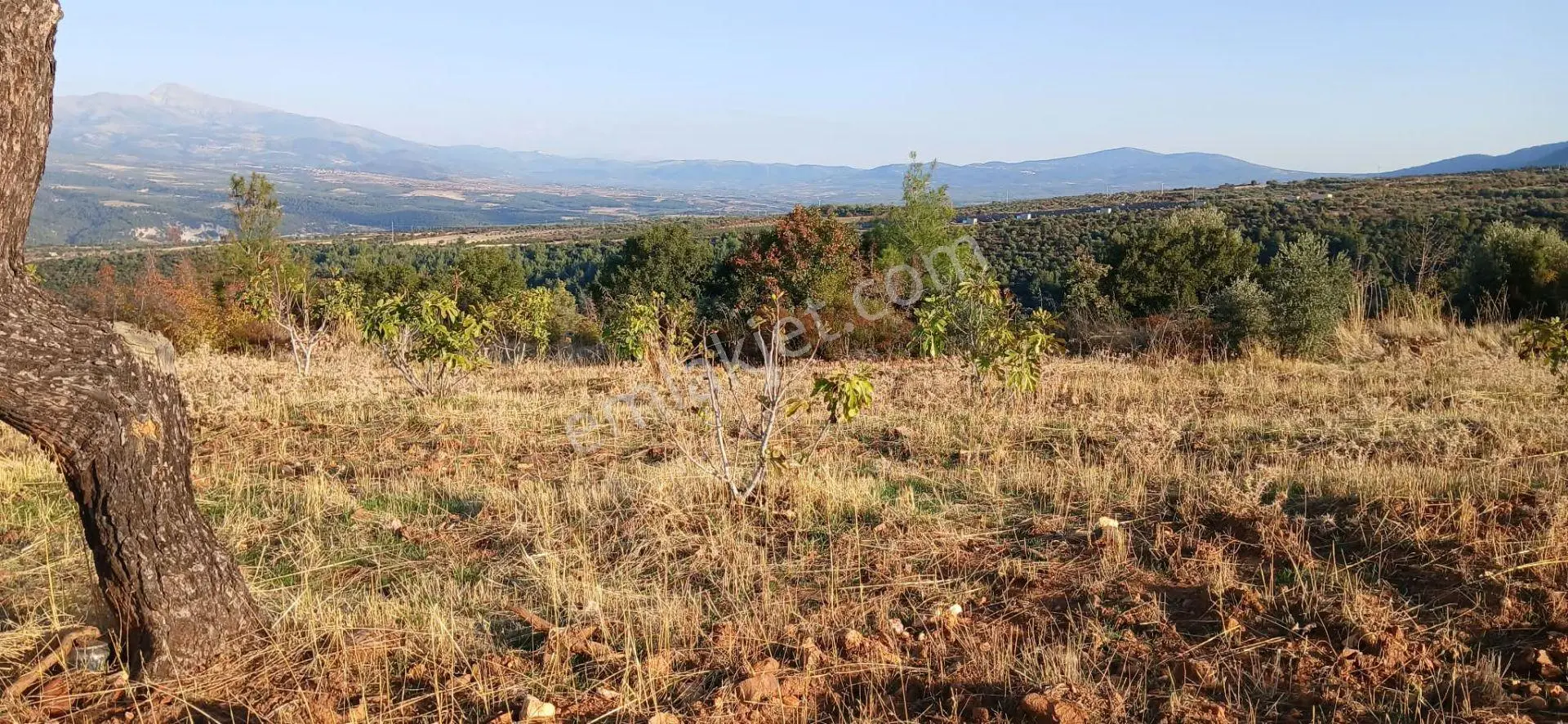 Karacasu Alemler'de 5600 M² Doğa Manzaralı Satılık Tarla — fotoğraf 6