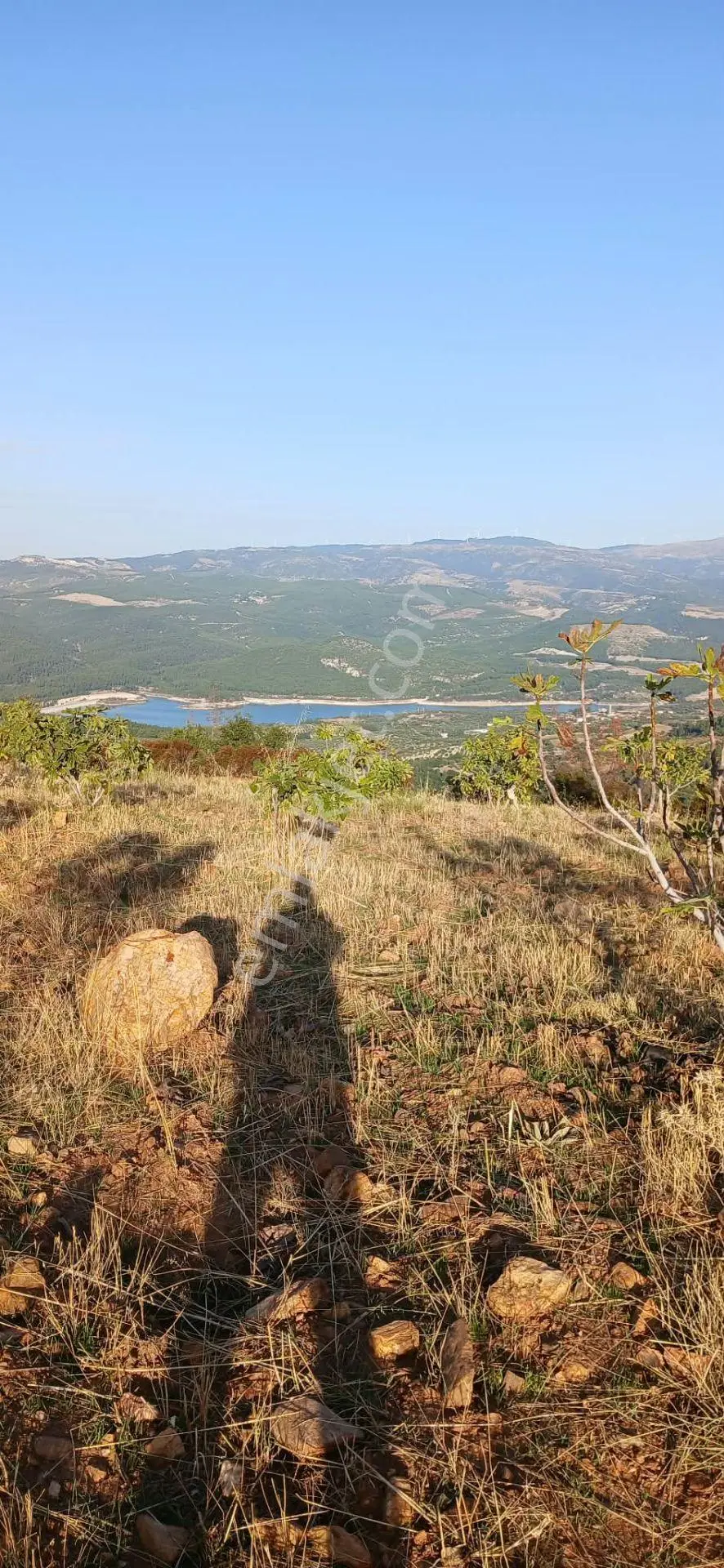 Karacasu Alemler'de 5600 M² Doğa Manzaralı Satılık Tarla — fotoğraf 7