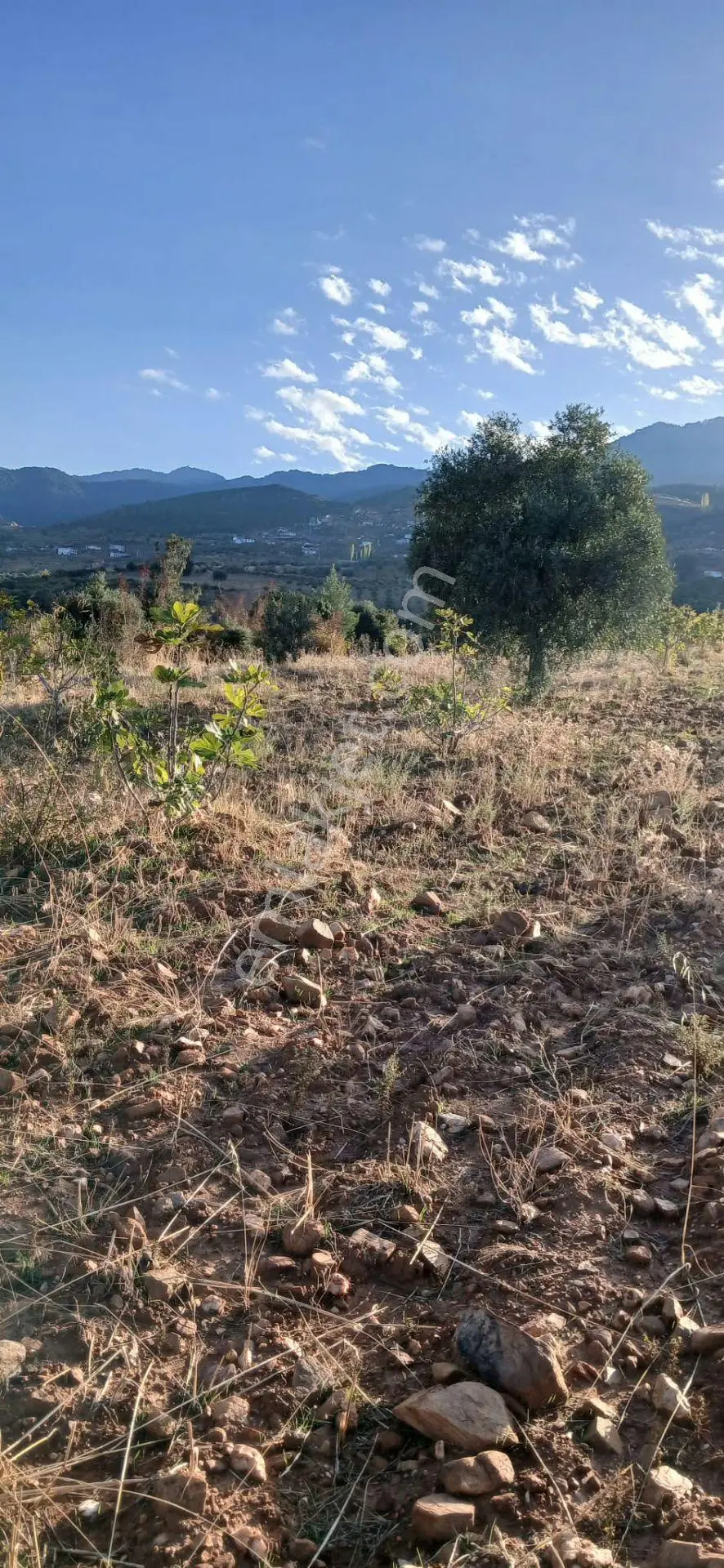 Karacasu Alemler'de 5600 M² Doğa Manzaralı Satılık Tarla — fotoğraf 9