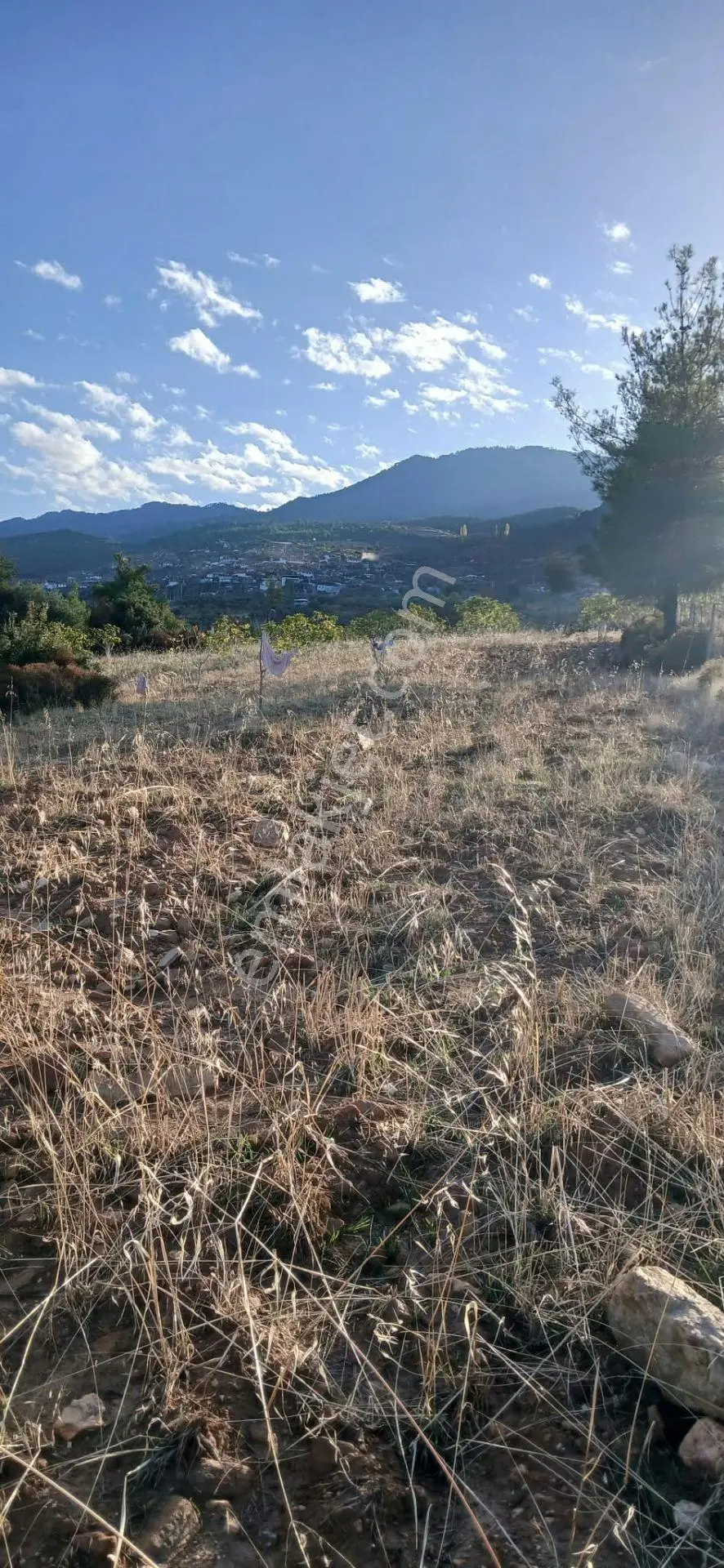 Karacasu Alemler'de 5600 M² Doğa Manzaralı Satılık Tarla — fotoğraf 10