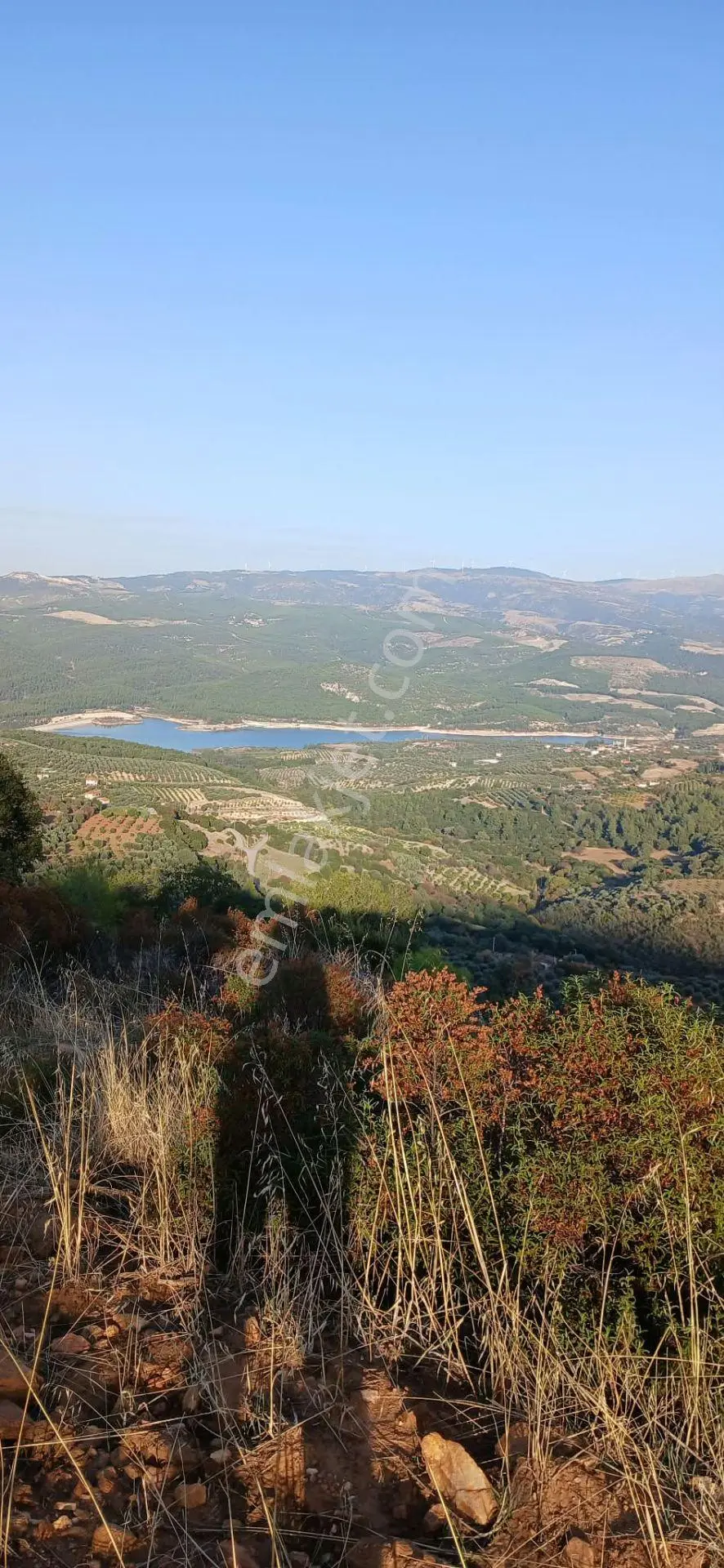 Karacasu Alemler'de 5600 M² Doğa Manzaralı Satılık Tarla — fotoğraf 12