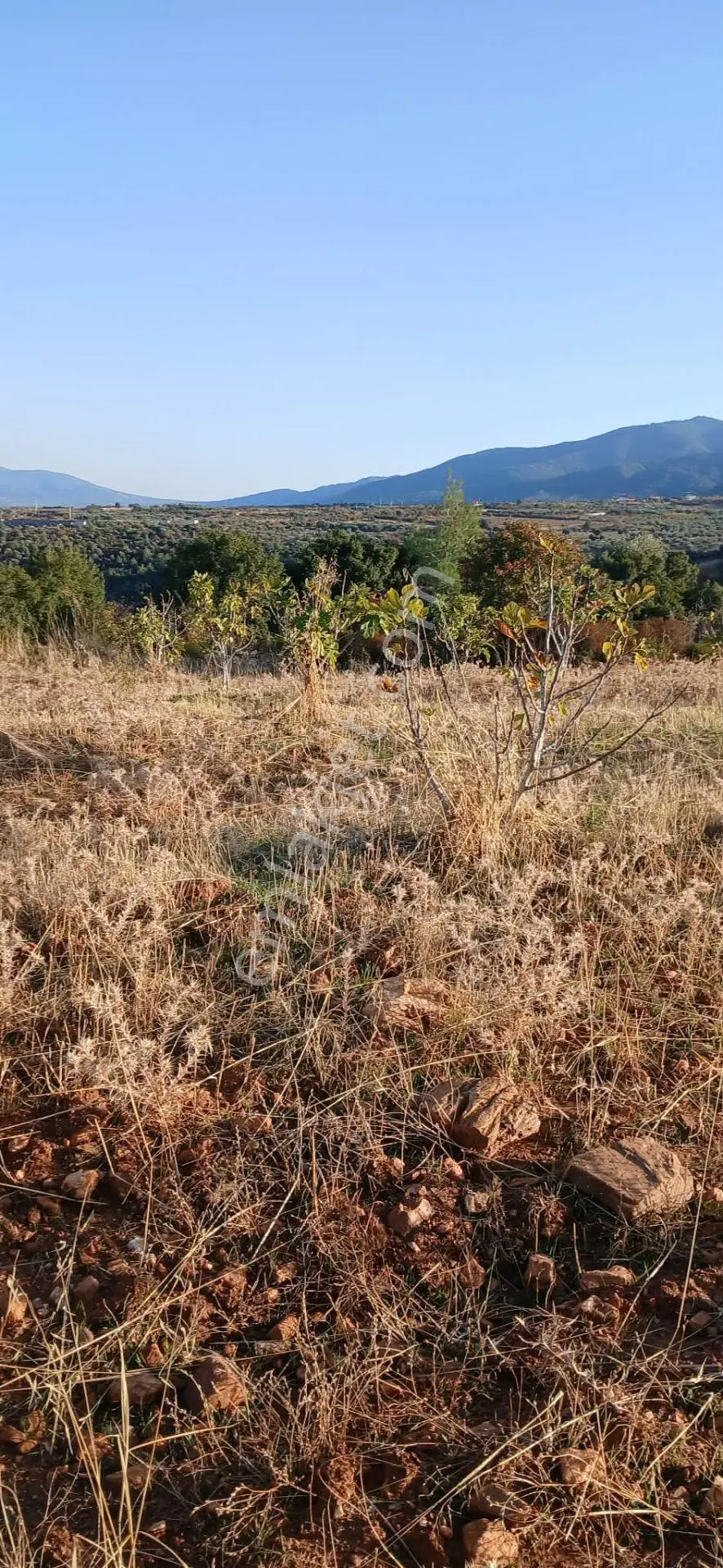 Karacasu Alemler'de 5600 M² Doğa Manzaralı Satılık Tarla — fotoğraf 13