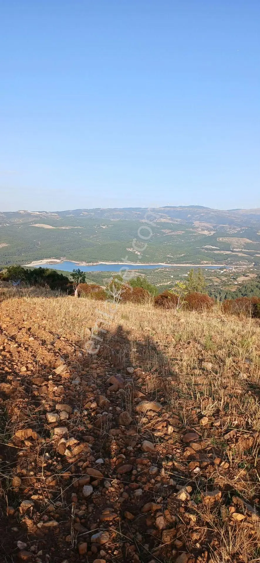Karacasu Alemler'de 5600 M² Doğa Manzaralı Satılık Tarla — fotoğraf 14