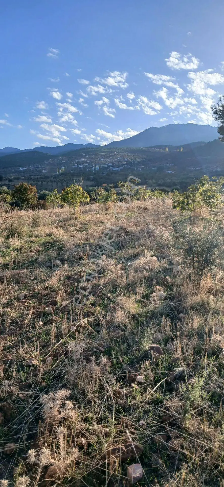 Karacasu Alemler'de 5600 M² Doğa Manzaralı Satılık Tarla — fotoğraf 15