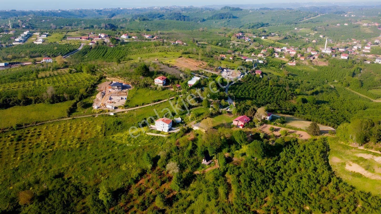 Kocaalide Köy İçinde İmarlı Satılık Arsa — fotoğraf 2