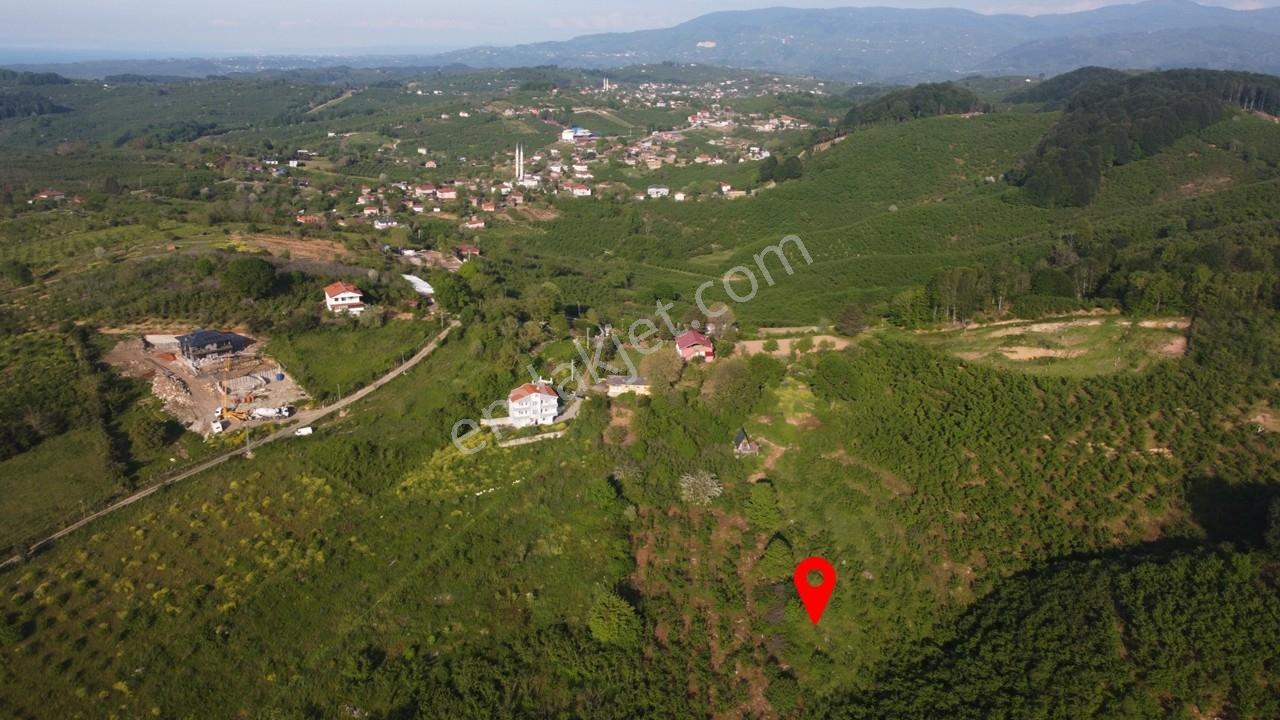 Kocaalide Köy İçinde İmarlı Satılık Arsa — fotoğraf 3