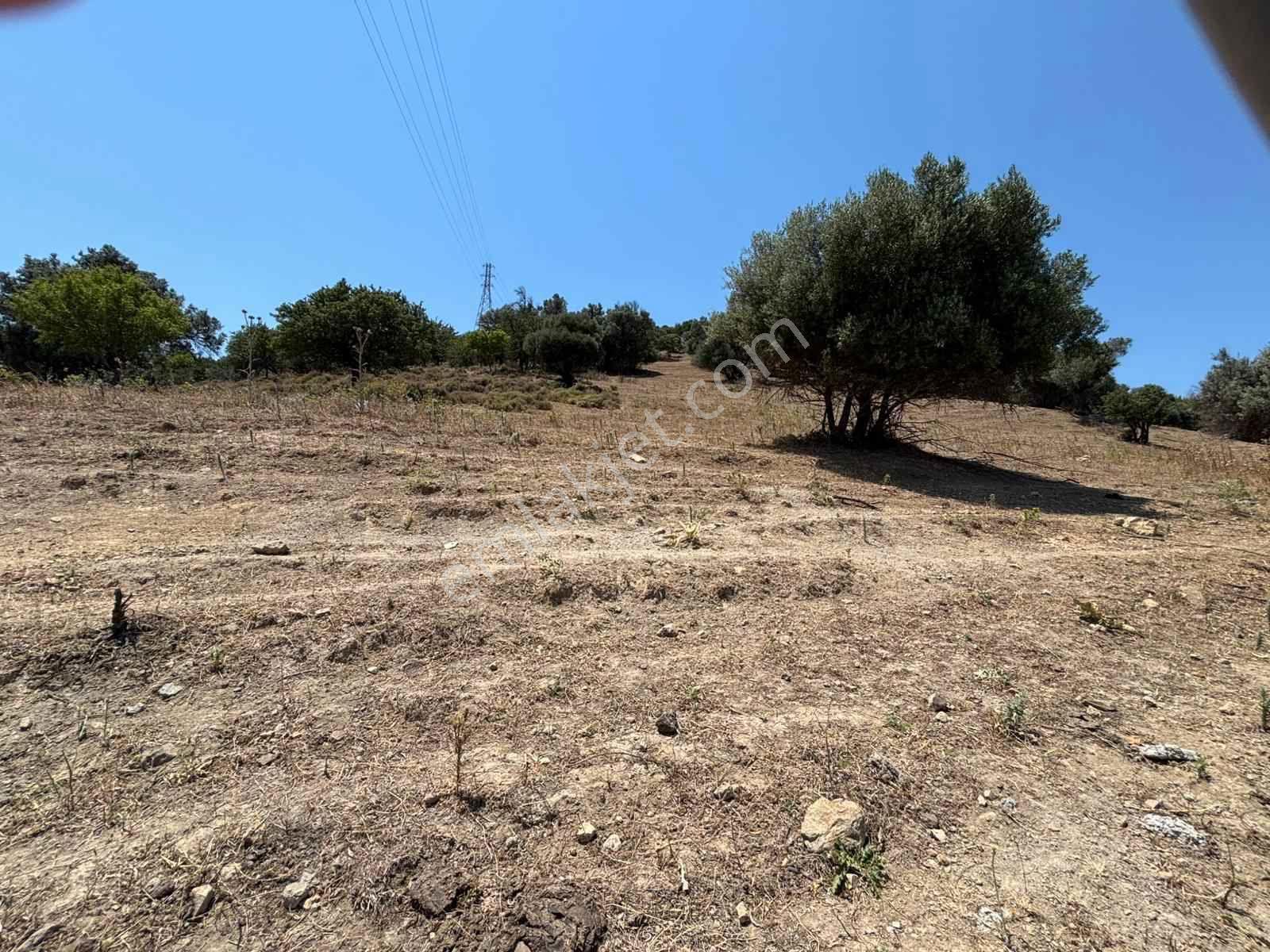 Aliağa Horozgediğinde Deniz Manzaralı, Konut İmarlı 5800m² Satılık Arazi — fotoğraf 9