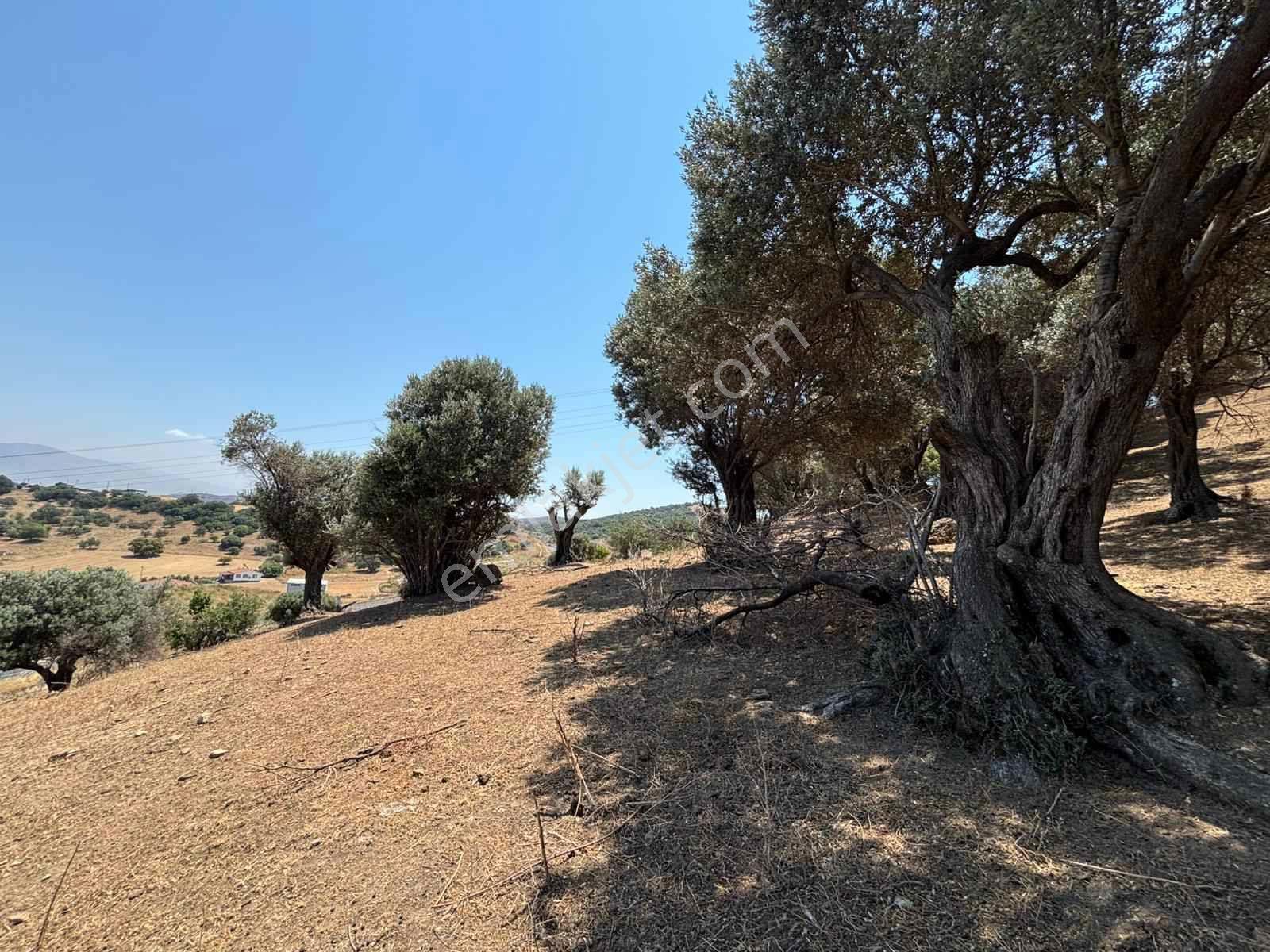 Aliağa Horozgediğinde Deniz Manzaralı, Konut İmarlı 5800m² Satılık Arazi — fotoğraf 11