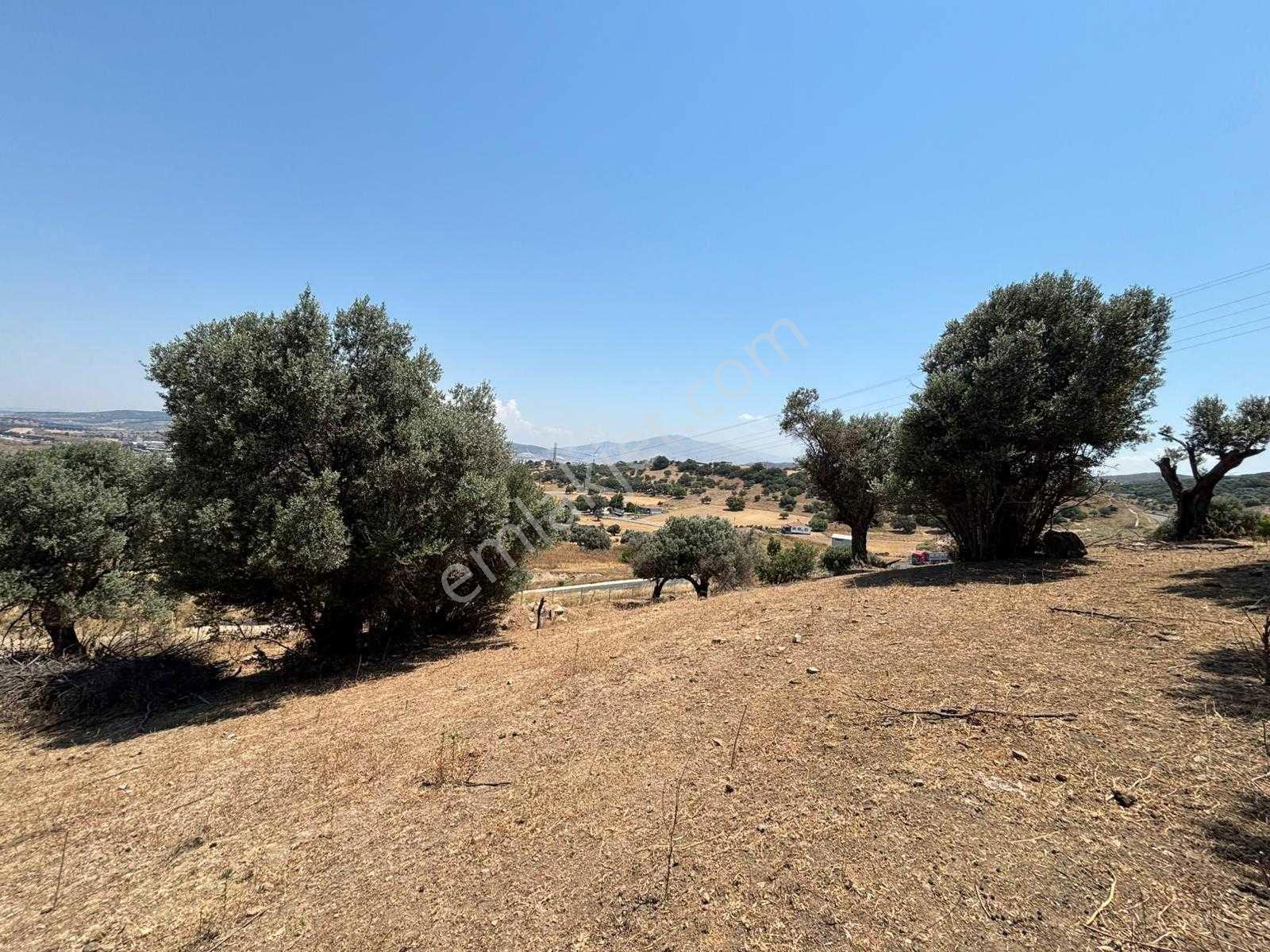 Aliağa Horozgediğinde Deniz Manzaralı, Konut İmarlı 5800m² Satılık Arazi — fotoğraf 12