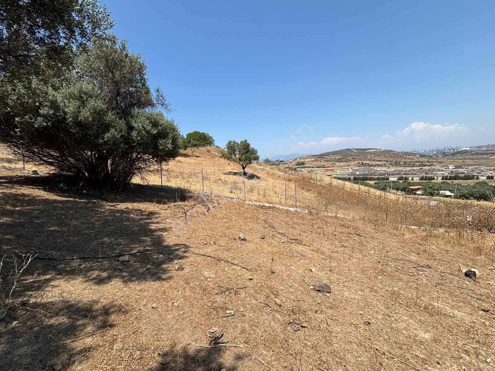 Aliağa Horozgediğinde Deniz Manzaralı, Konut İmarlı 5800m² Satılık Arazi — fotoğraf 14