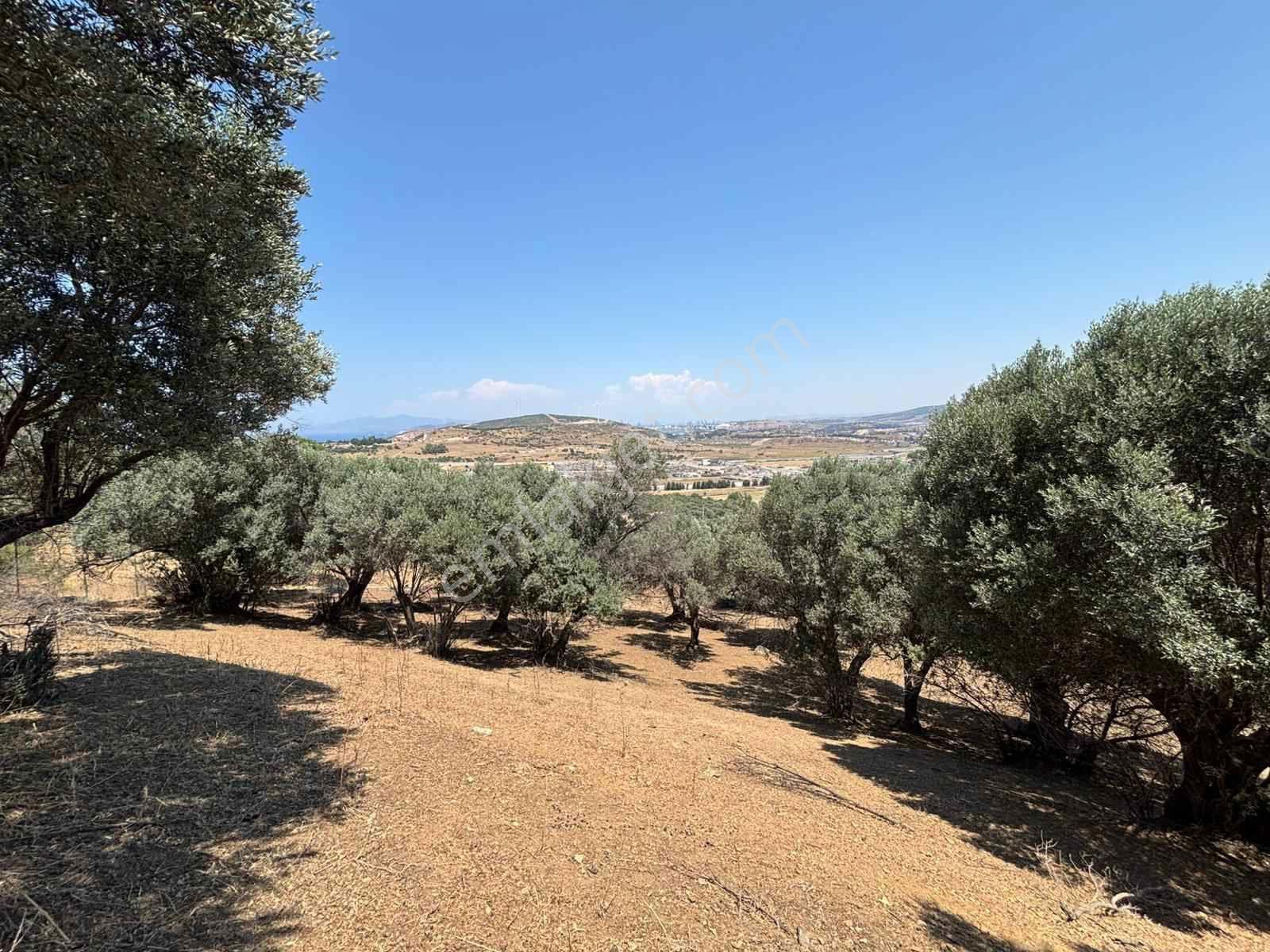 Aliağa Horozgediğinde Deniz Manzaralı, Konut İmarlı 5800m² Satılık Arazi — fotoğraf 18