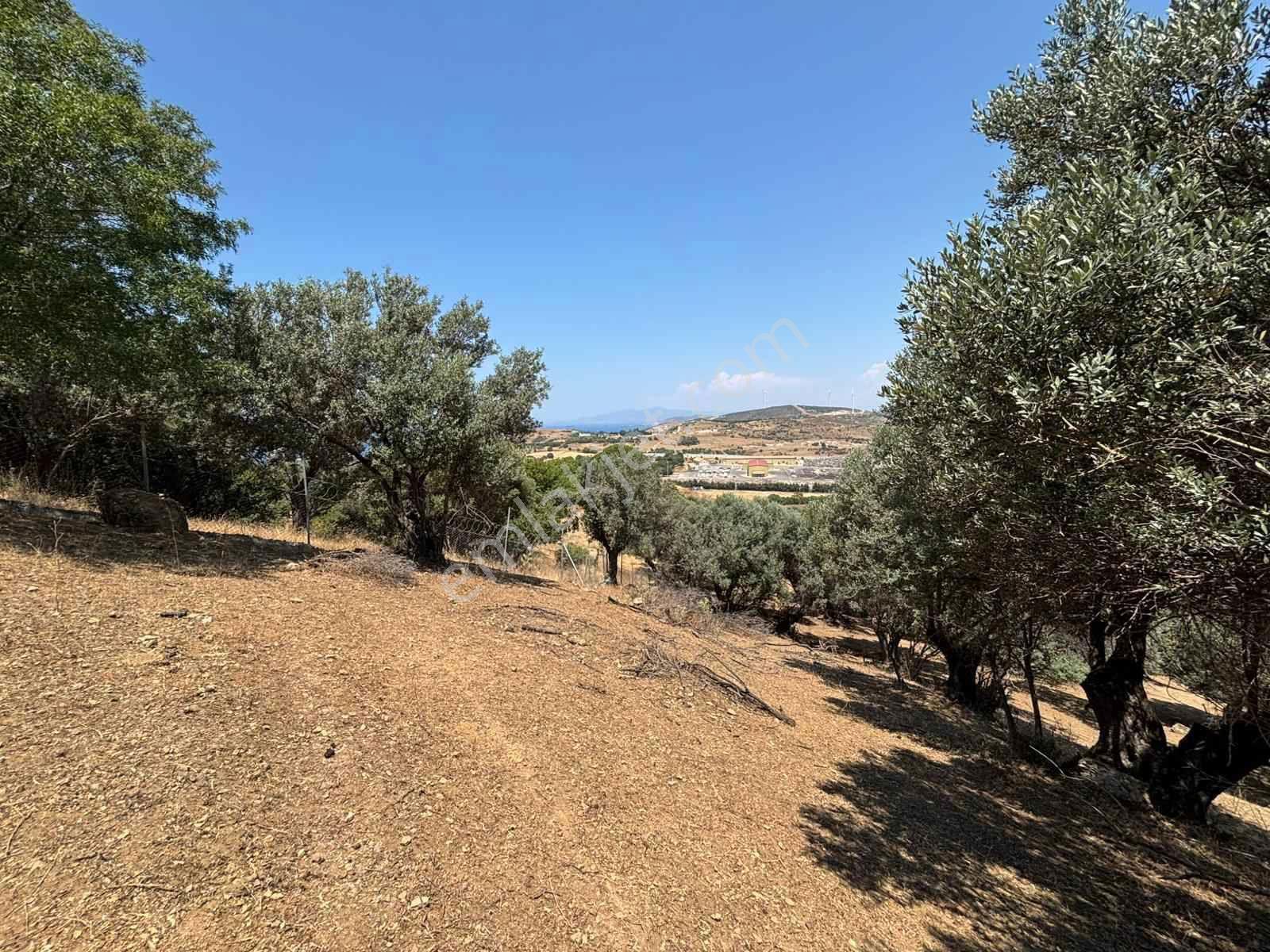 Aliağa Horozgediğinde Deniz Manzaralı, Konut İmarlı 5800m² Satılık Arazi — fotoğraf 19