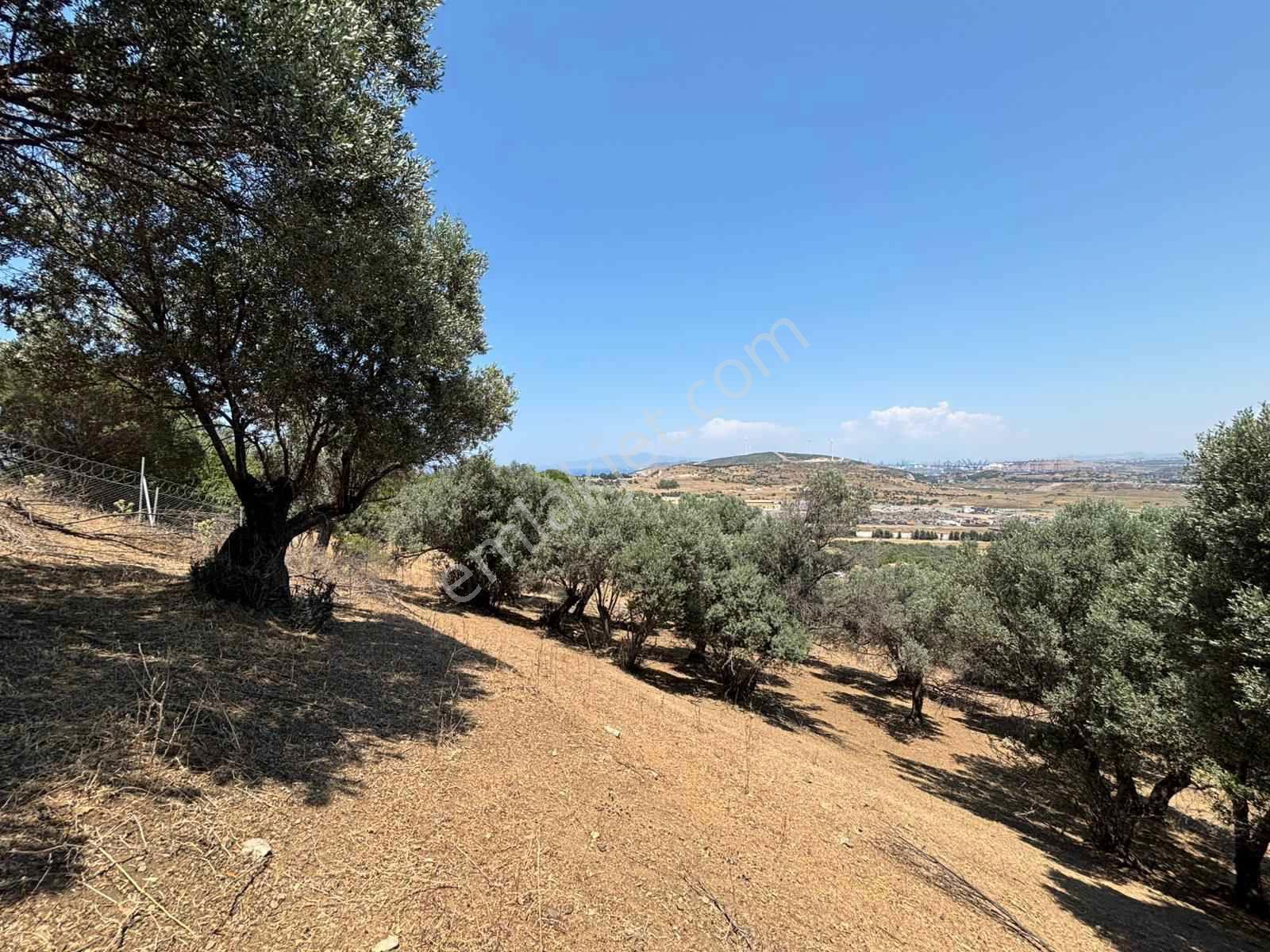 Aliağa Horozgediğinde Deniz Manzaralı, Konut İmarlı 5800m² Satılık Arazi — fotoğraf 20