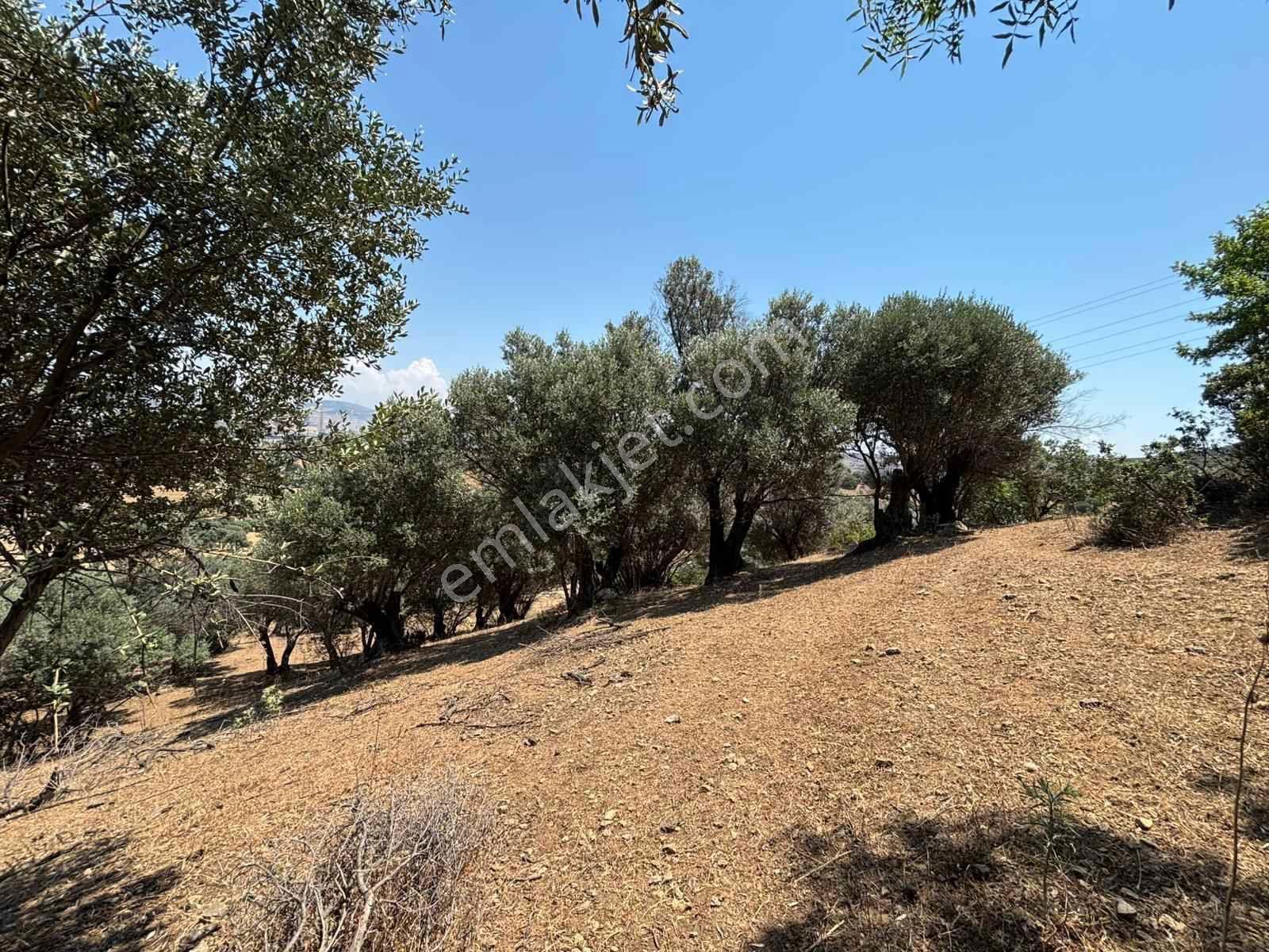 Aliağa Horozgediğinde Deniz Manzaralı, Konut İmarlı 5800m² Satılık Arazi — fotoğraf 21