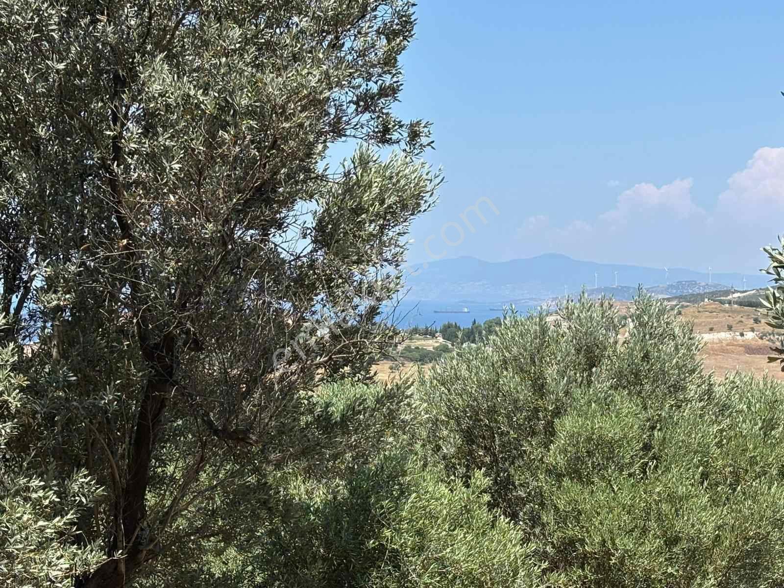 Aliağa Horozgediğinde Deniz Manzaralı, Konut İmarlı 5800m² Satılık Arazi — fotoğraf 24