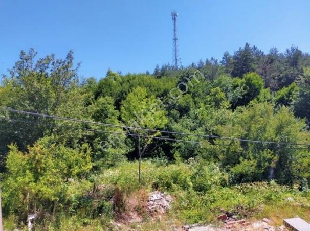 Bolu Merkezde Ticari Ve Lojistik Değeri Yüksek, Yatırımlık