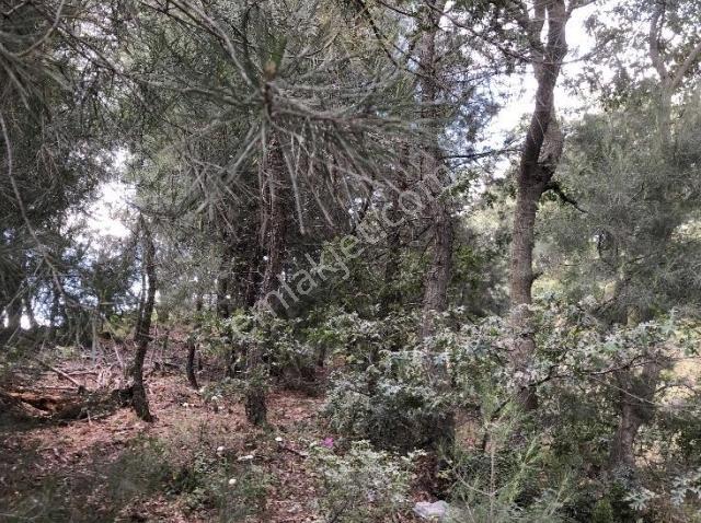 Bolu Merkezde Ticari Ve Lojistik Değeri Yüksek, Yatırımlık — fotoğraf 4