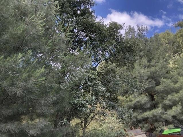 Bolu Merkezde Ticari Ve Lojistik Değeri Yüksek, Yatırımlık — fotoğraf 5