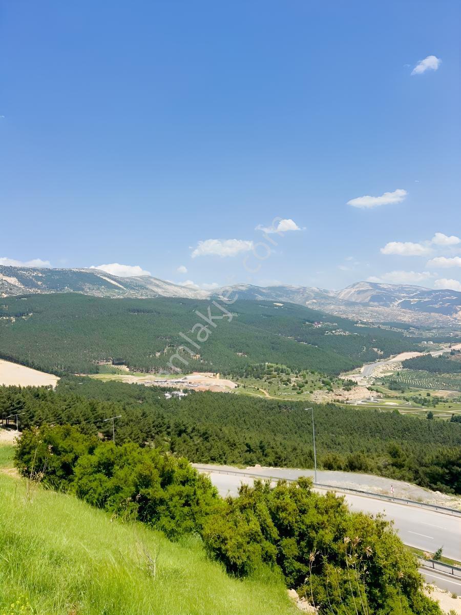 Yeşilyurt Çarmuzu 20.526 M² Satılık Kayısı Bahçesi+2 Müstakil Ev — fotoğraf 5